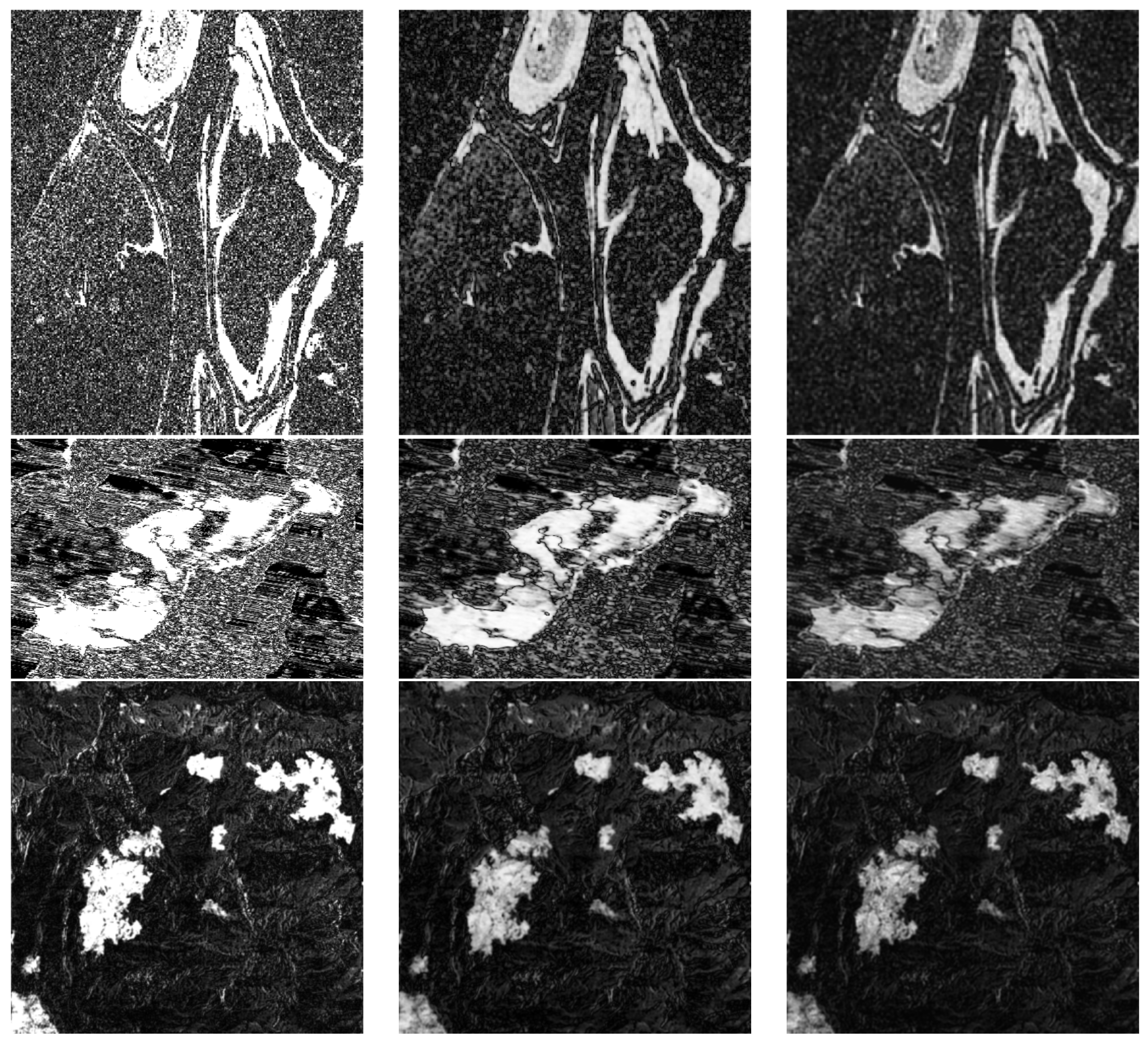 Entropy 24 00291 g006a