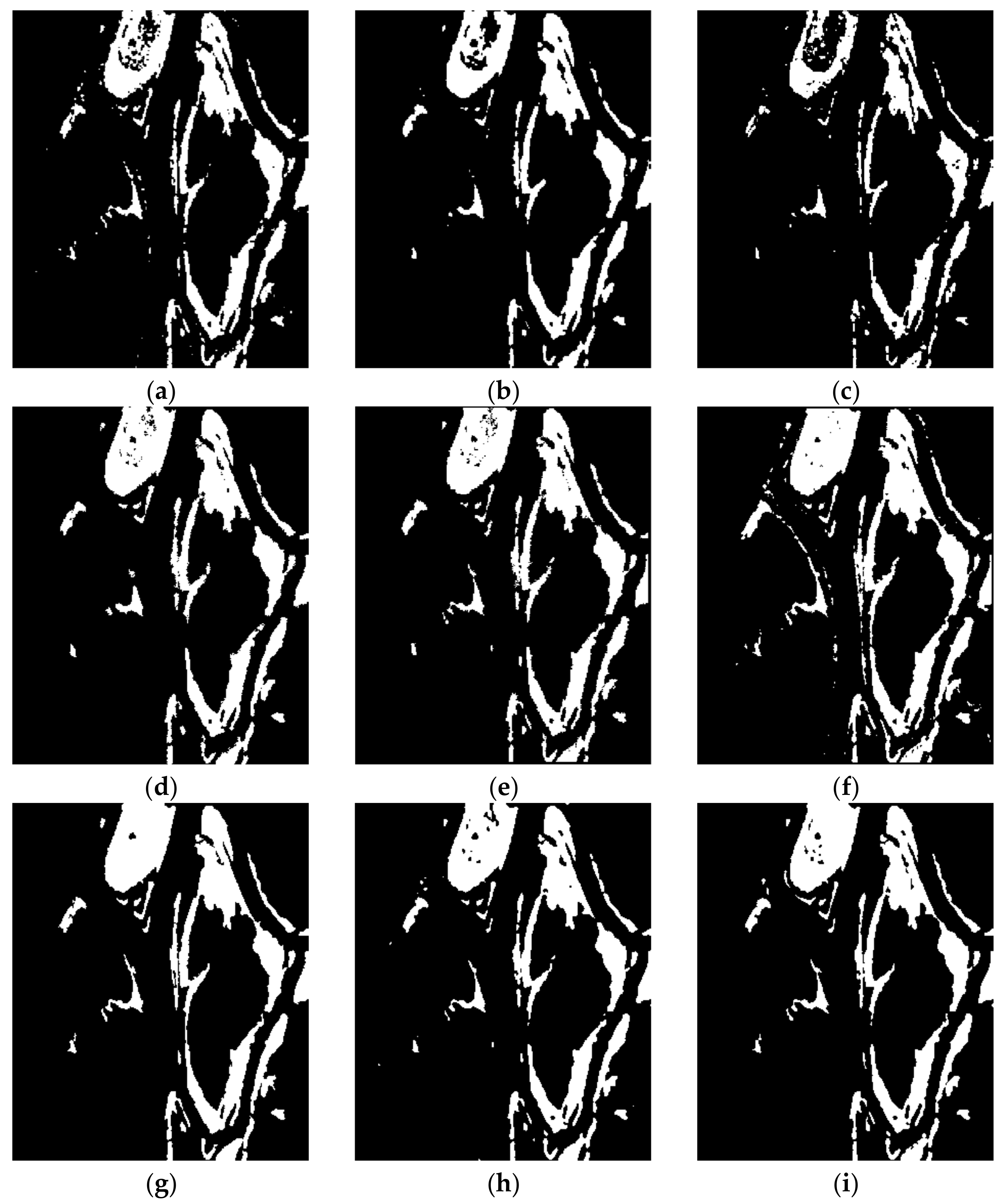 Entropy 24 00291 g009