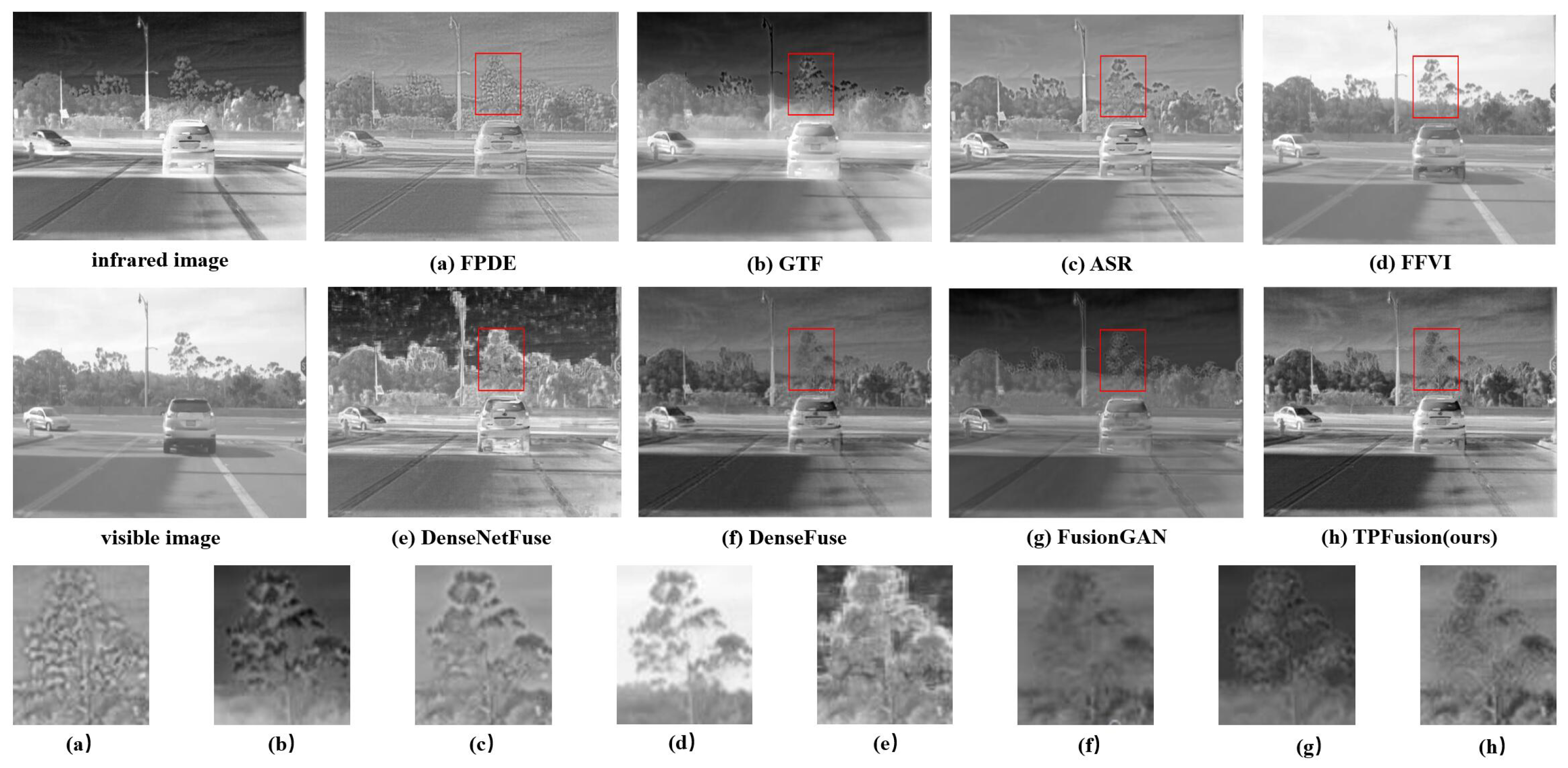 Entropy 24 00294 g007