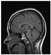 Entropy 24 00538 i021