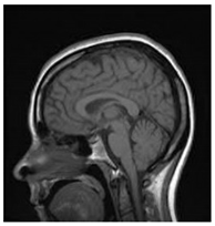 Entropy 24 00538 i022