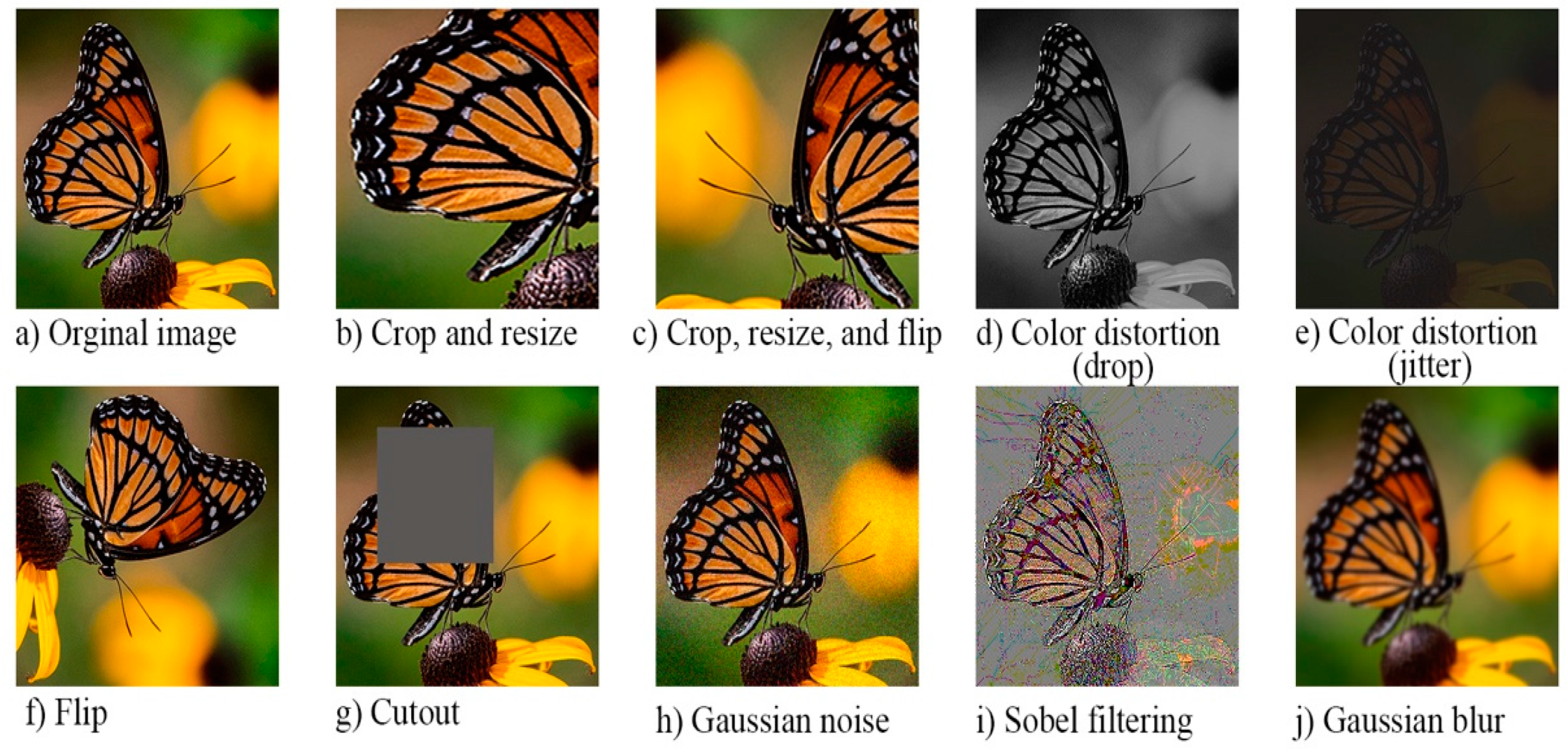 Entropy 24 00551 g003