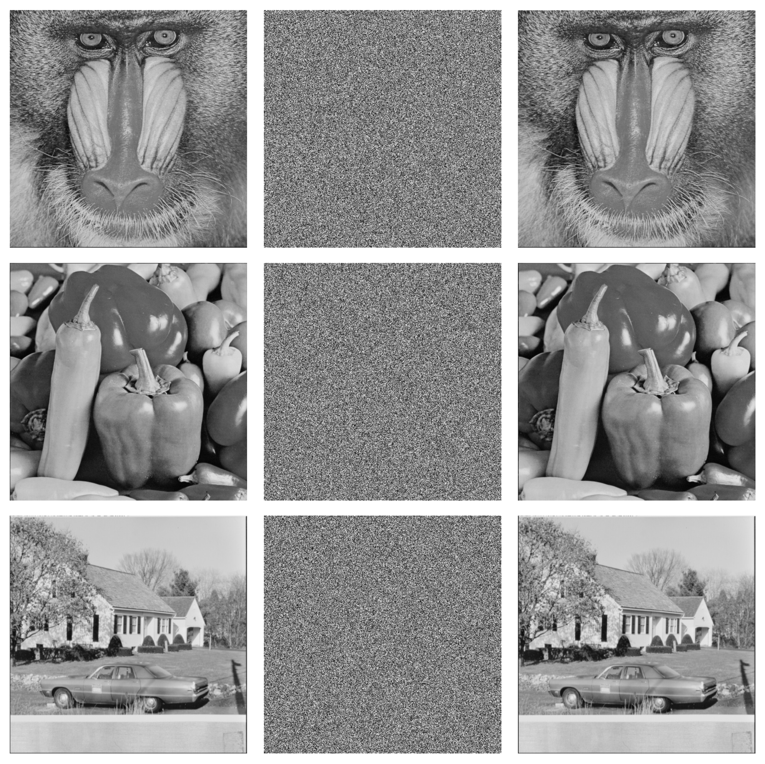 Entropy 24 00608 g008