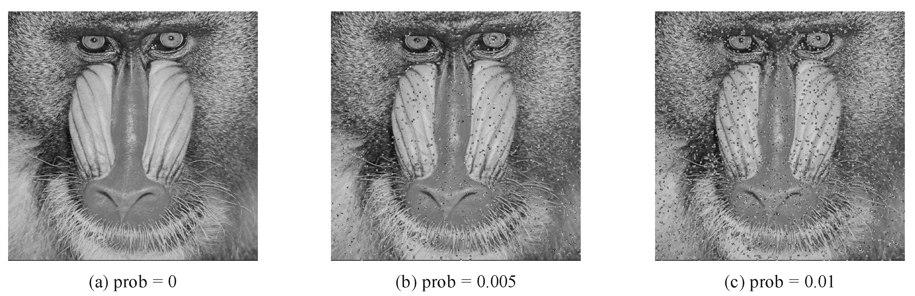 Entropy 24 00608 g011