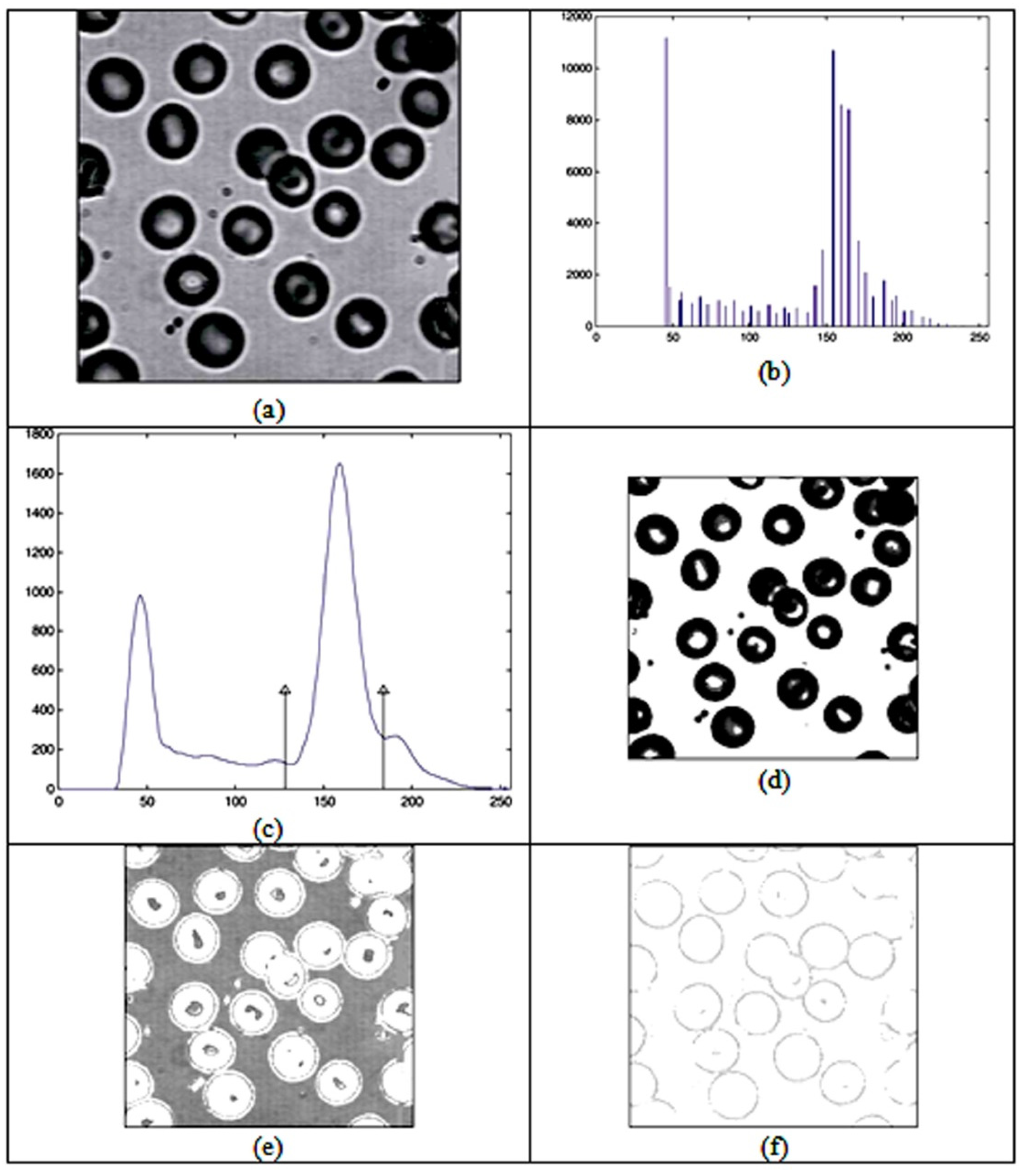 Entropy 24 00675 g002