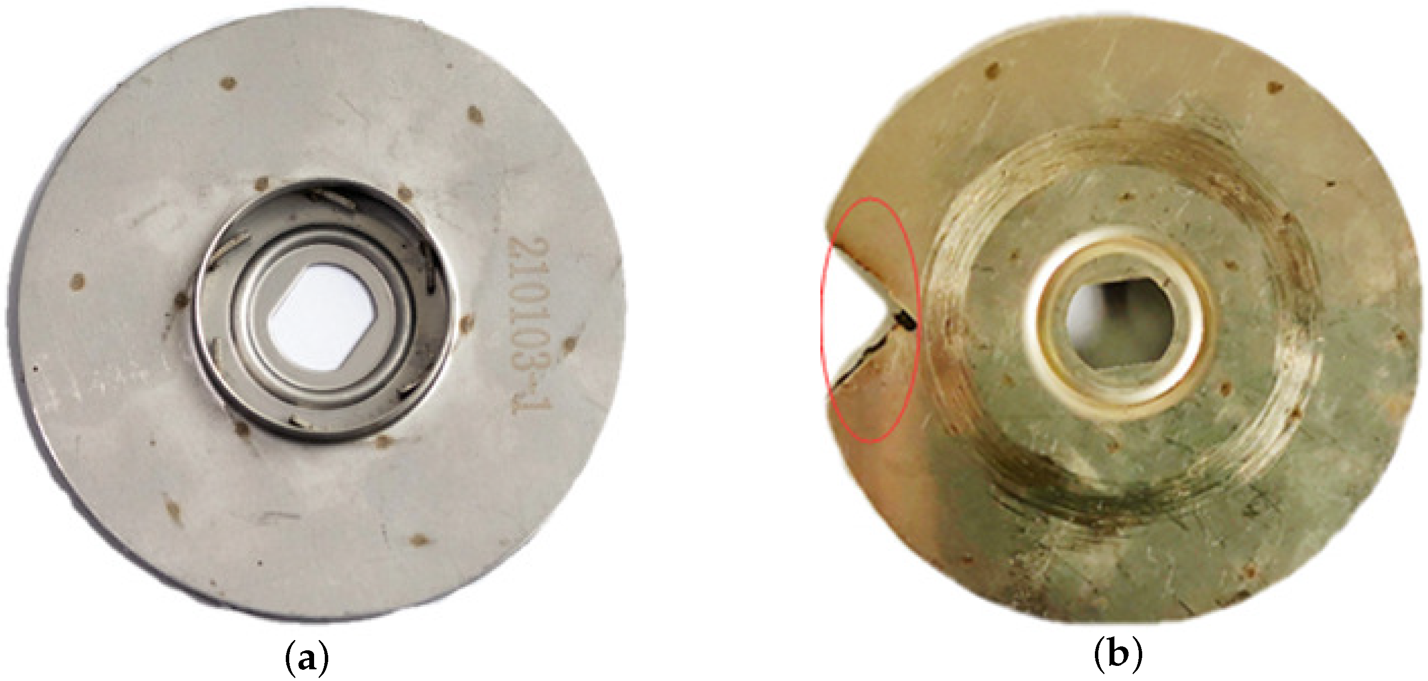 Entropy 24 00681 g013