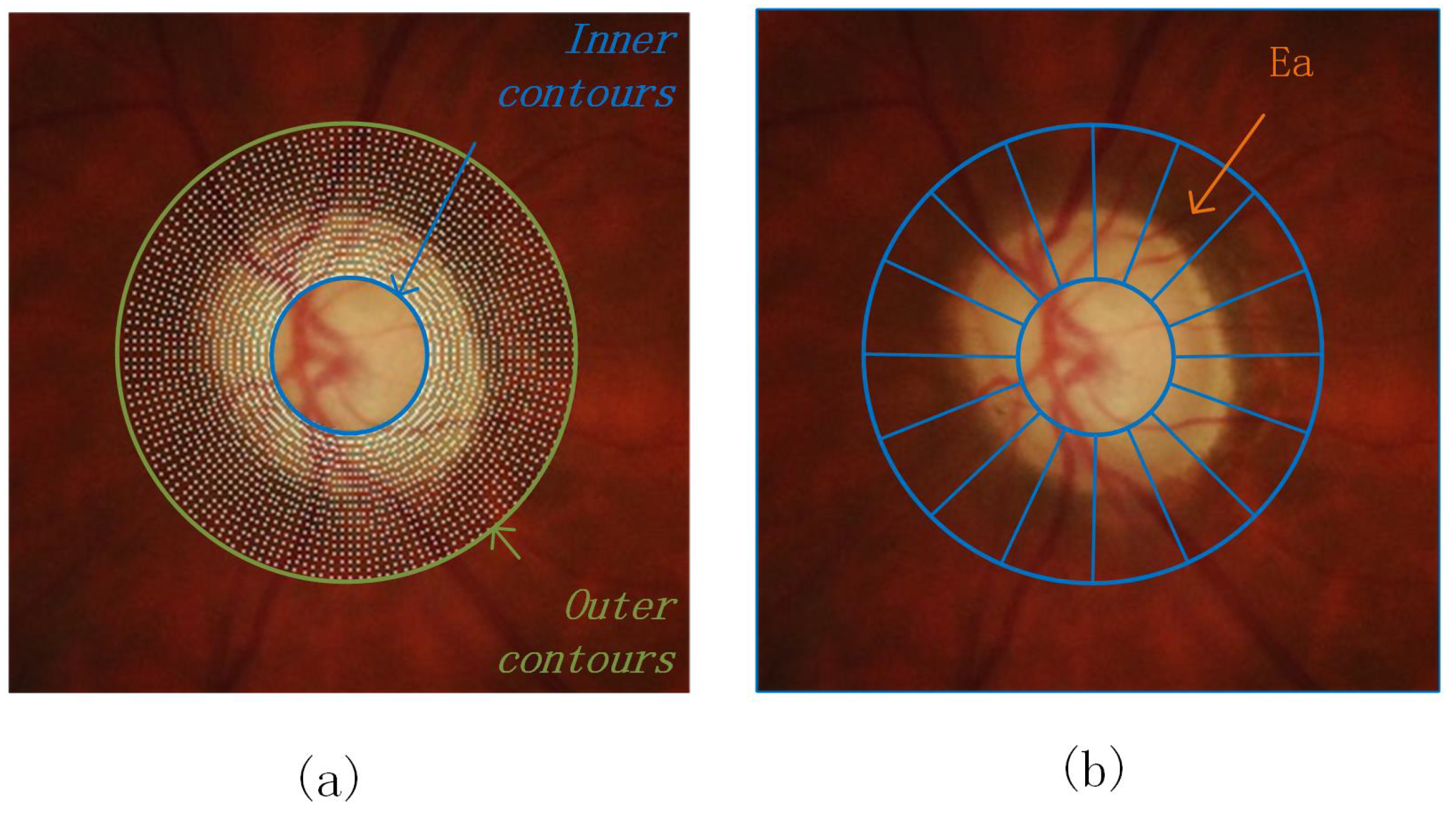 Entropy 24 00796 g002