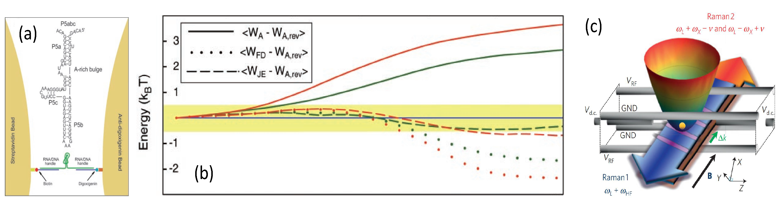 Entropy 24 00813 g010