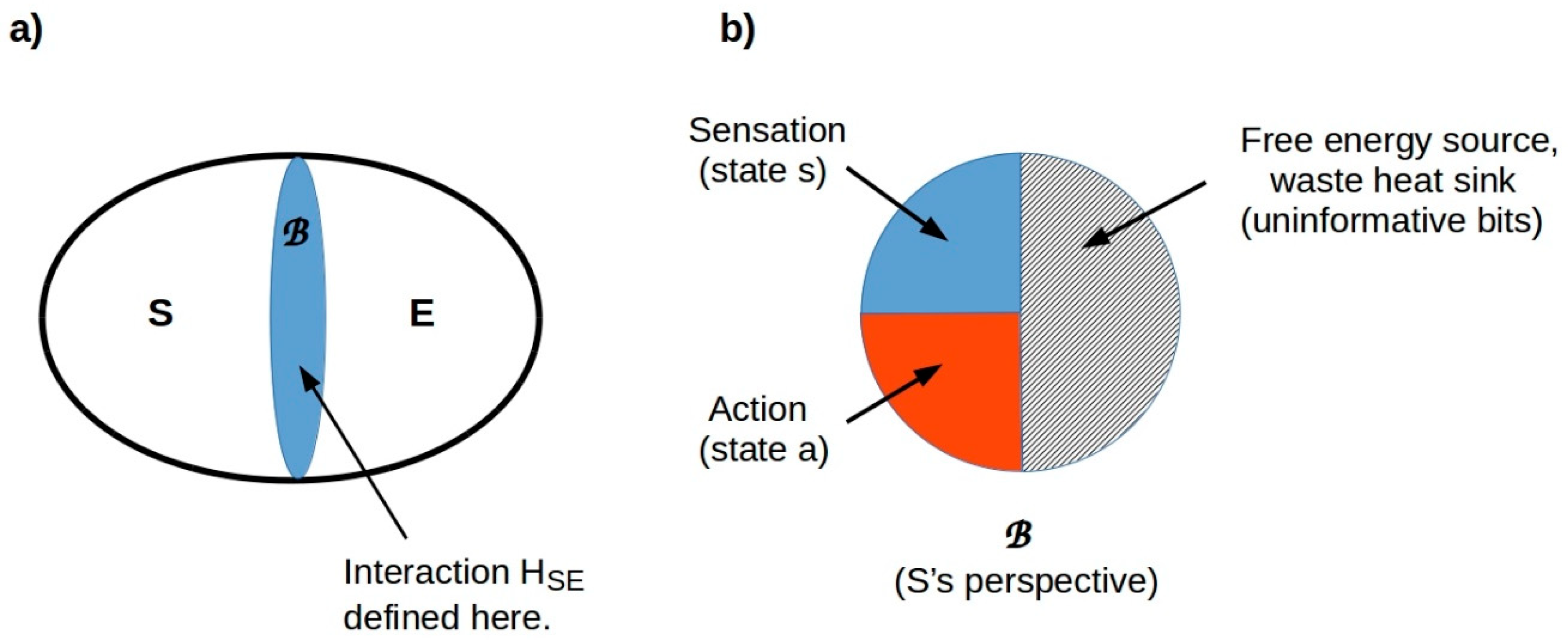 Entropy 24 00819 g008