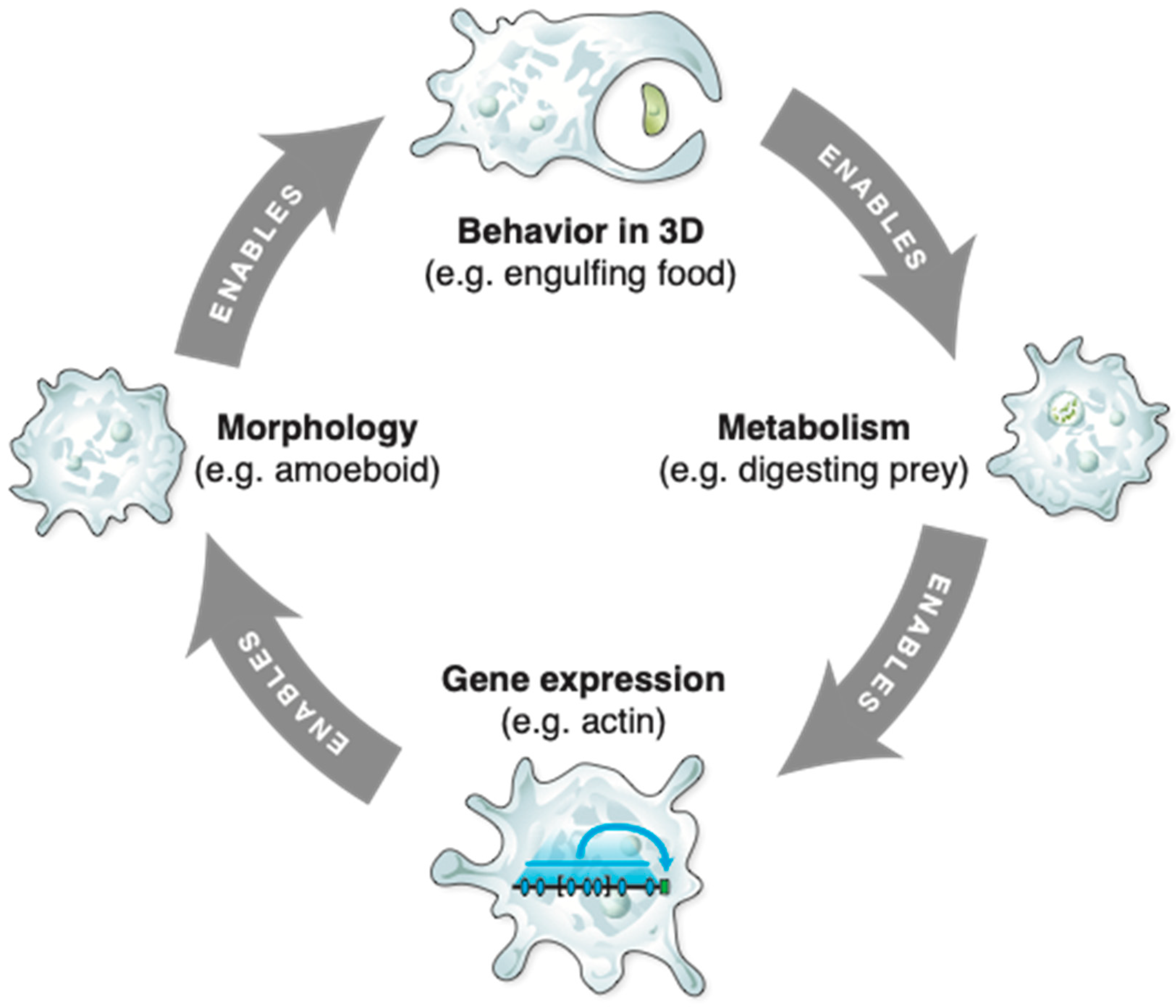Entropy 24 00819 g009