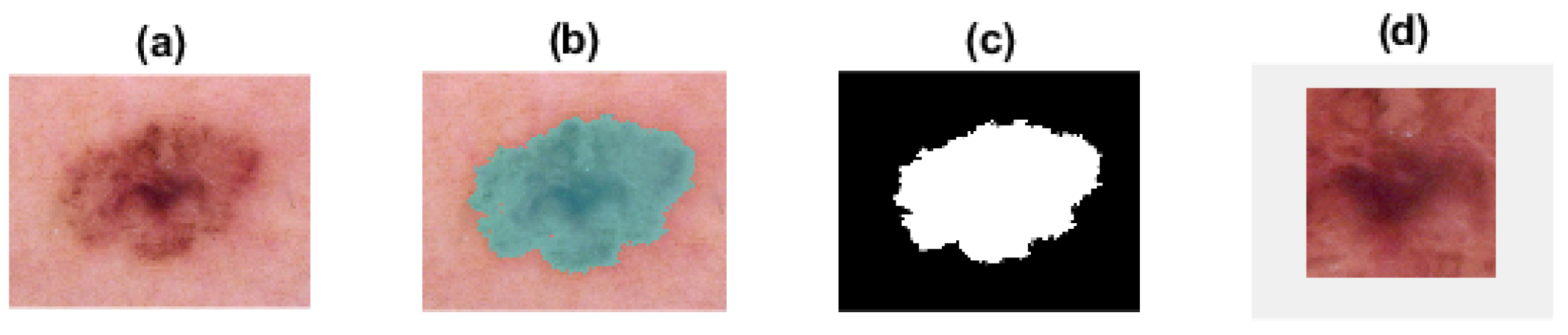 Entropy 24 00831 g005