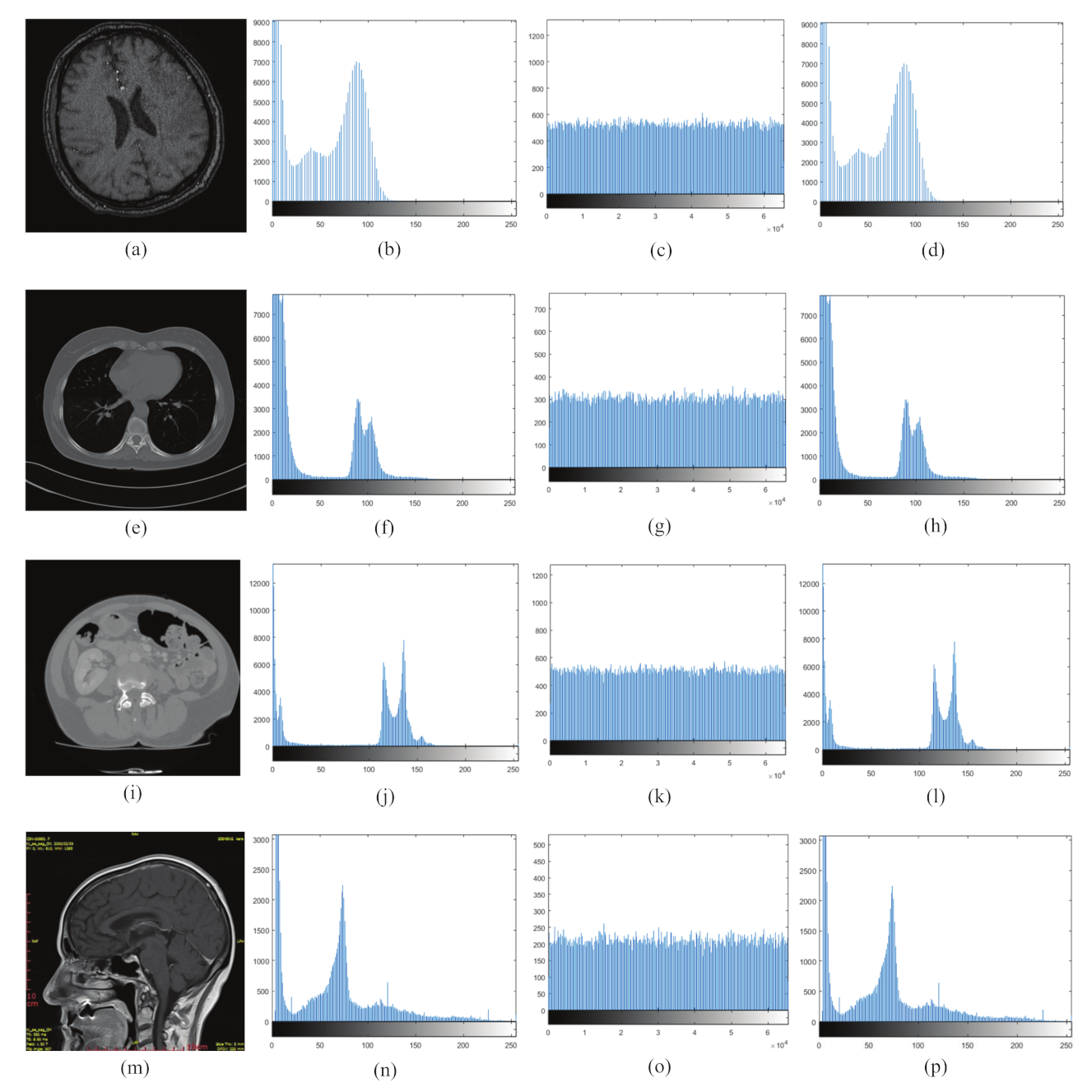 Entropy 24 00901 g016