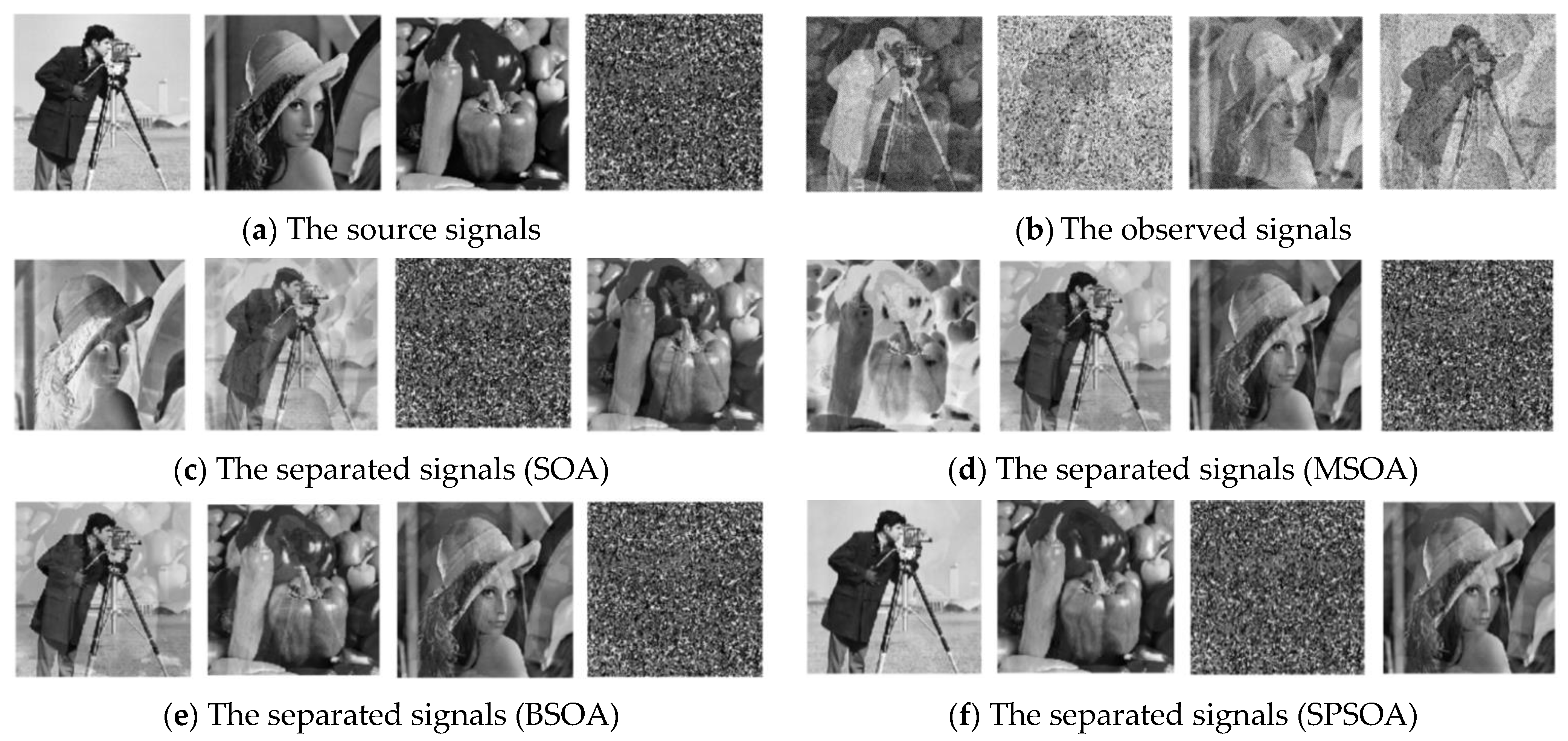 Entropy 24 00973 g008