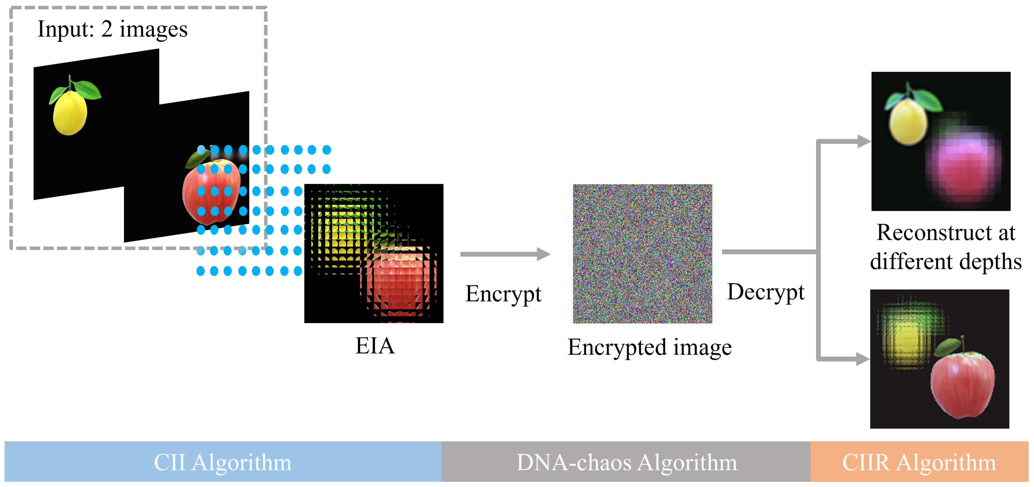 Entropy 24 00996 g002