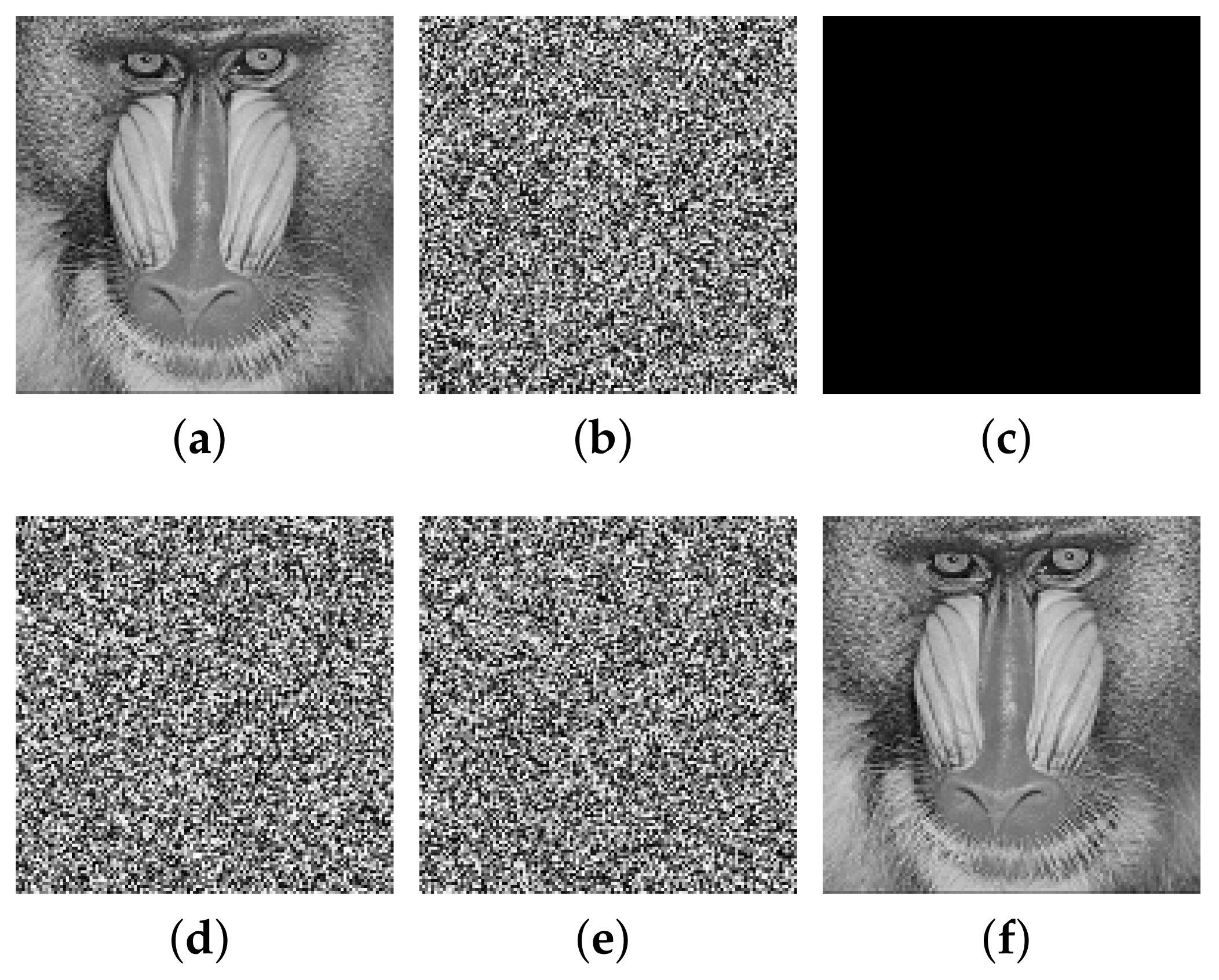 Entropy 24 01023 g010