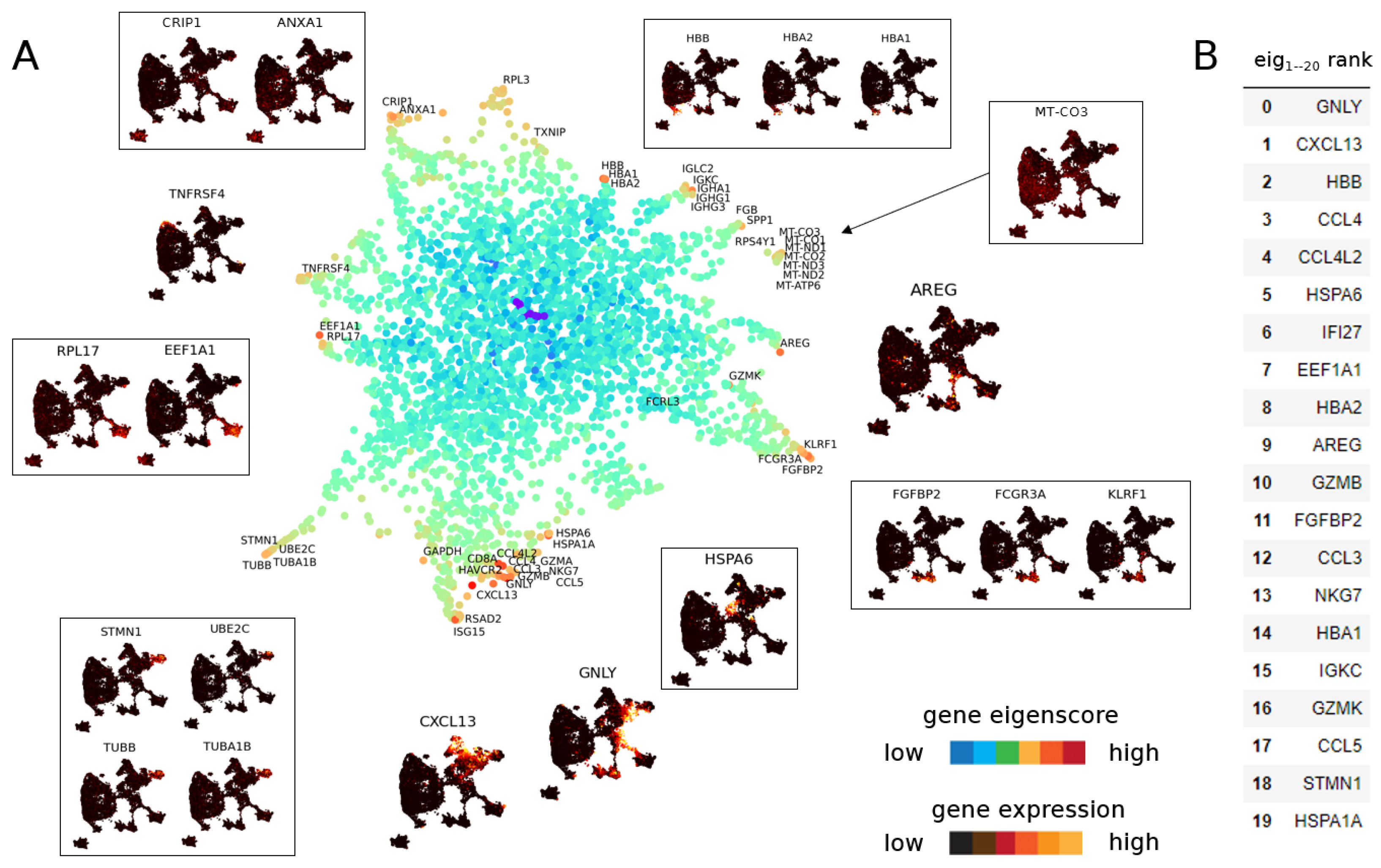 Entropy 24 01116 g008