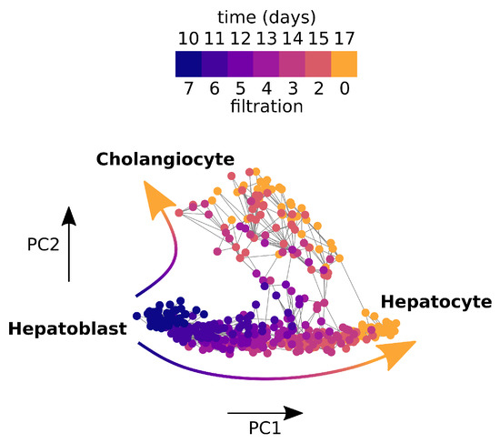 Entropy 24 01116 g0a4 550