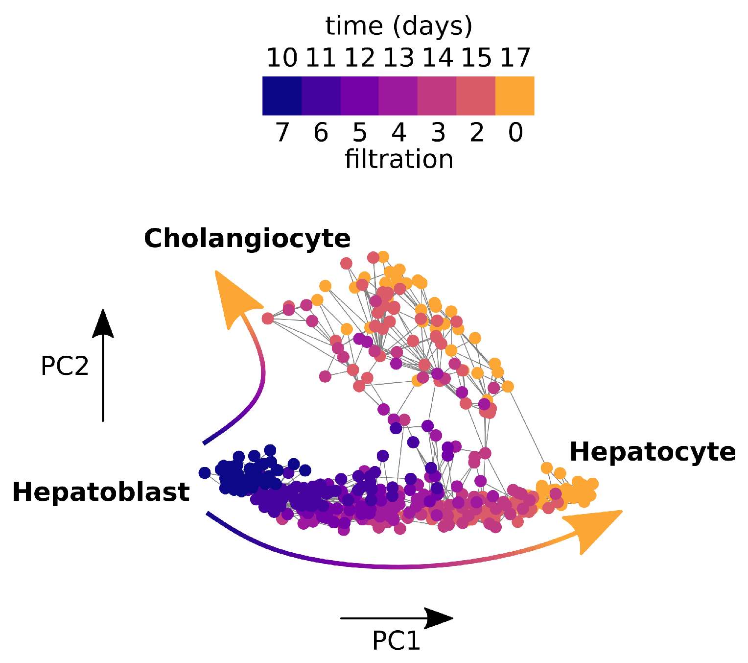 Entropy 24 01116 g0a4