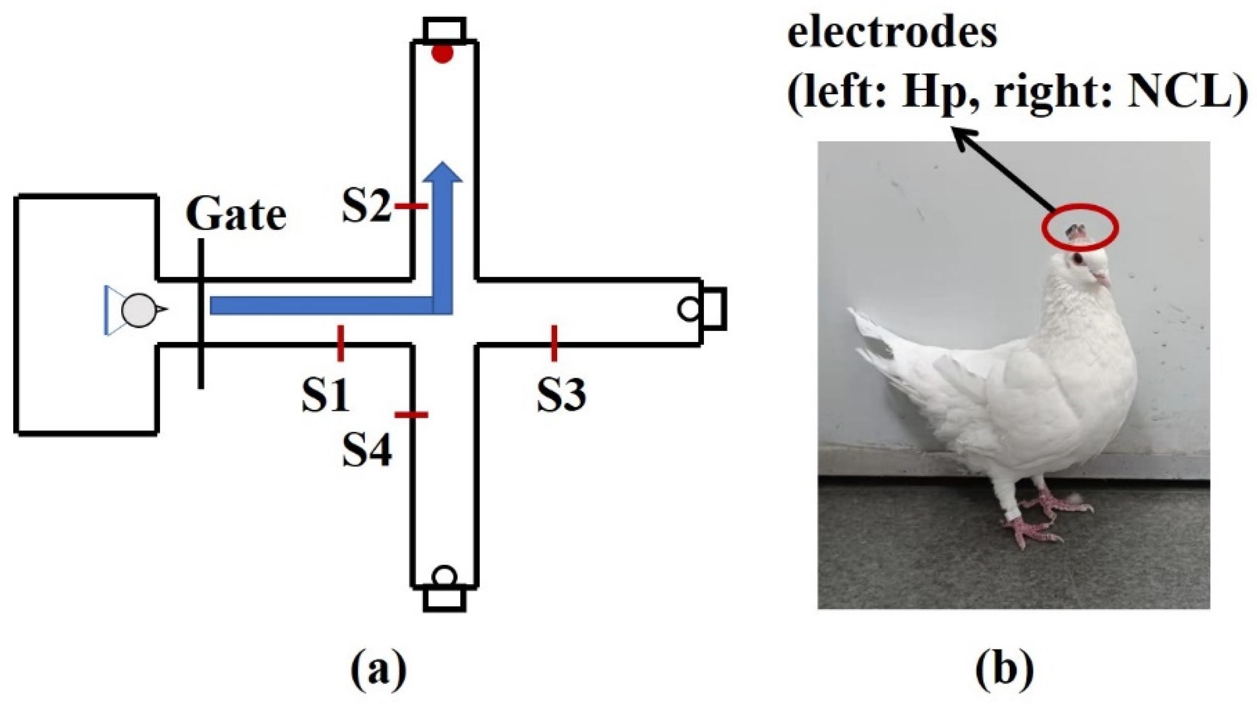 Entropy 24 01118 g008