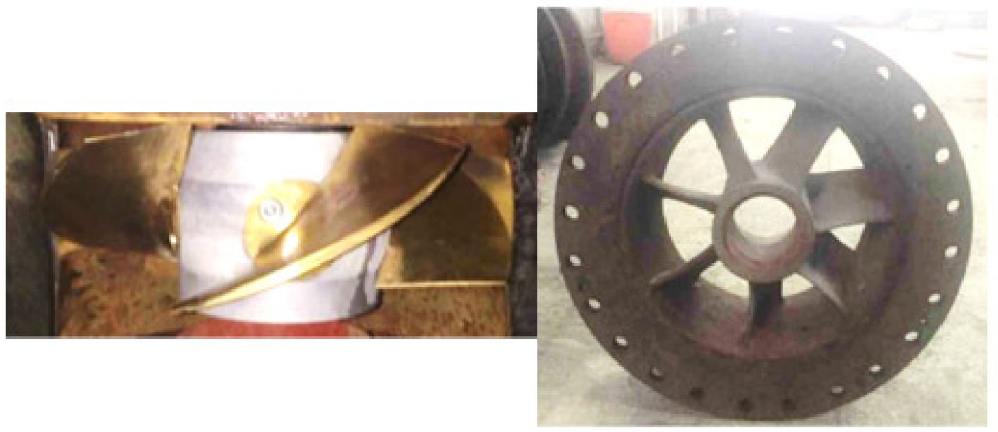 Entropy 24 01200 g004