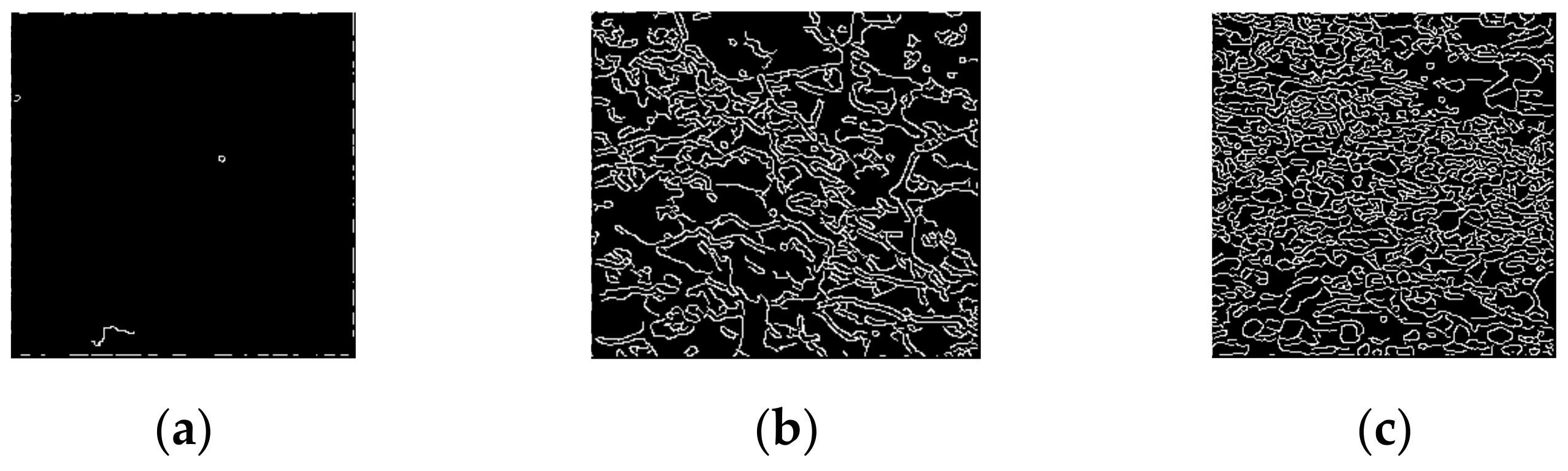 Entropy 24 01304 g004 Entropy 24 01304 g004