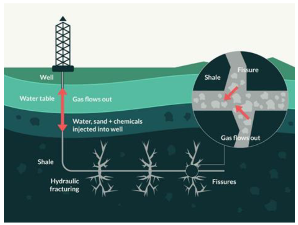 Entropy 24 01316 g005
