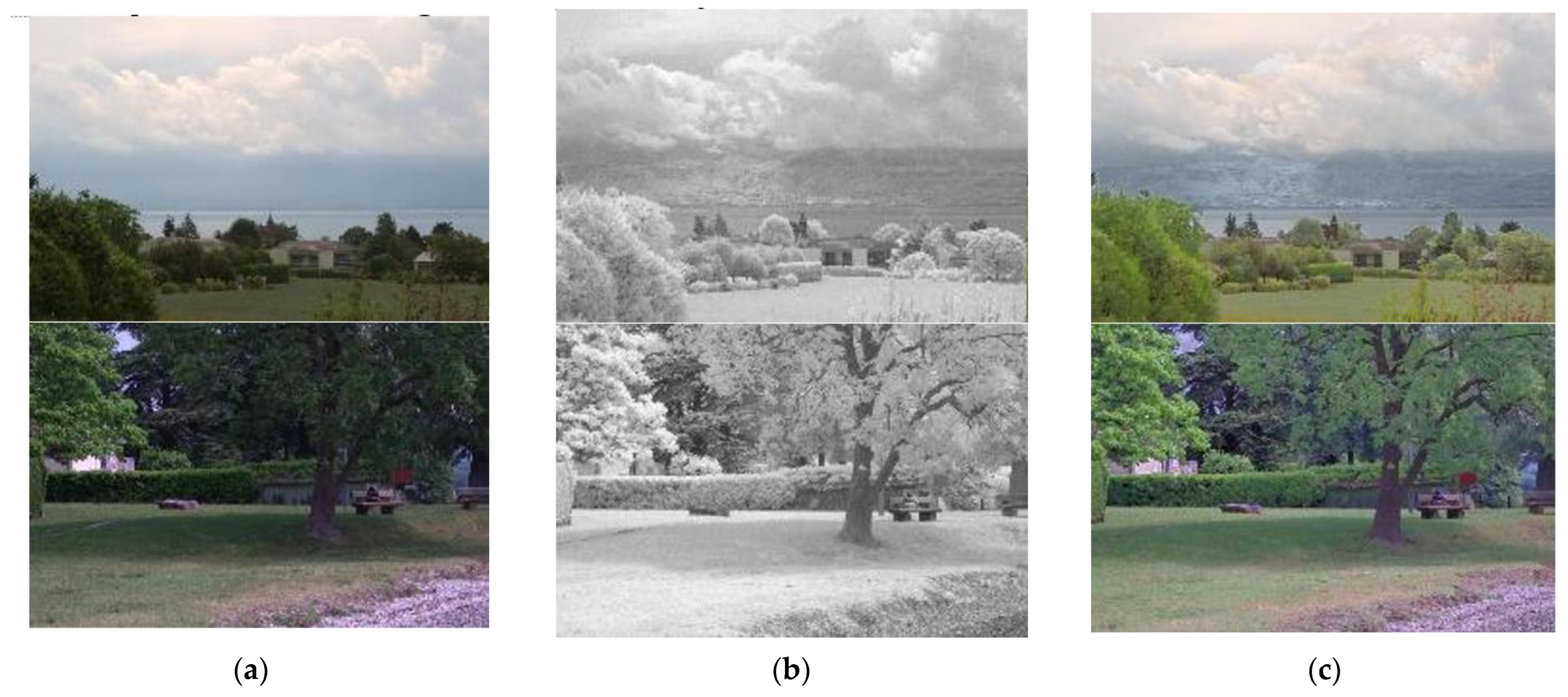 Entropy 24 01435 g001