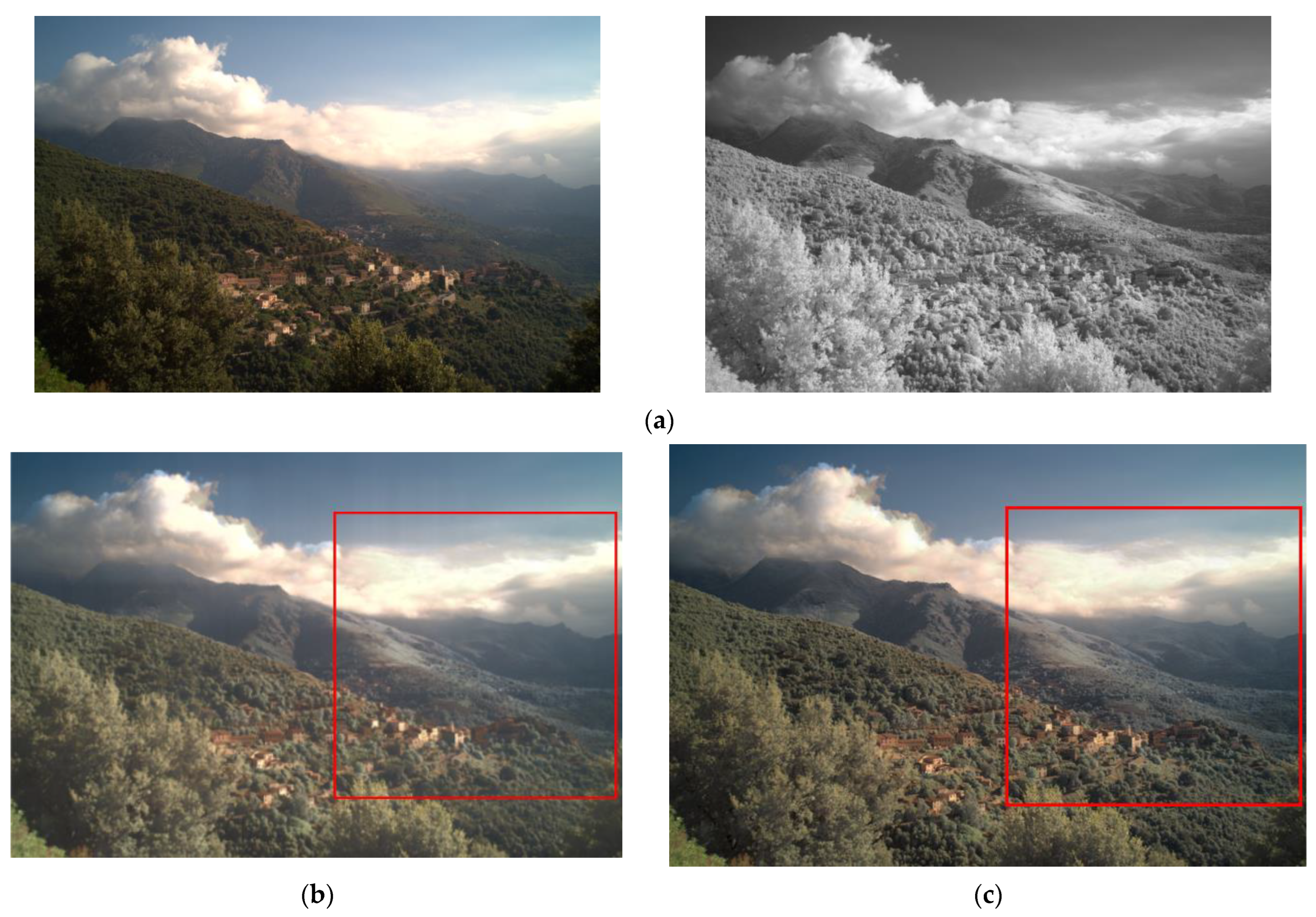 Entropy 24 01435 g012a