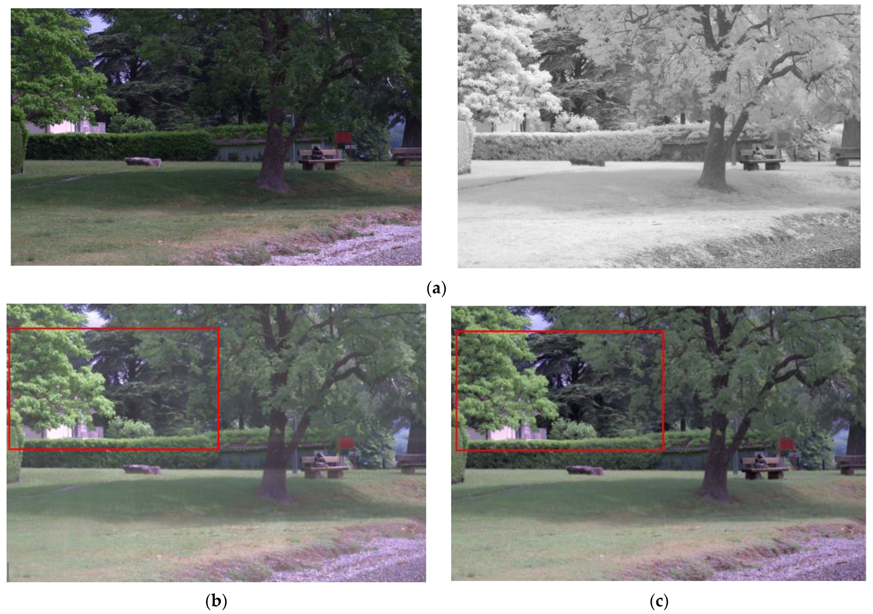 Entropy 24 01435 g013a