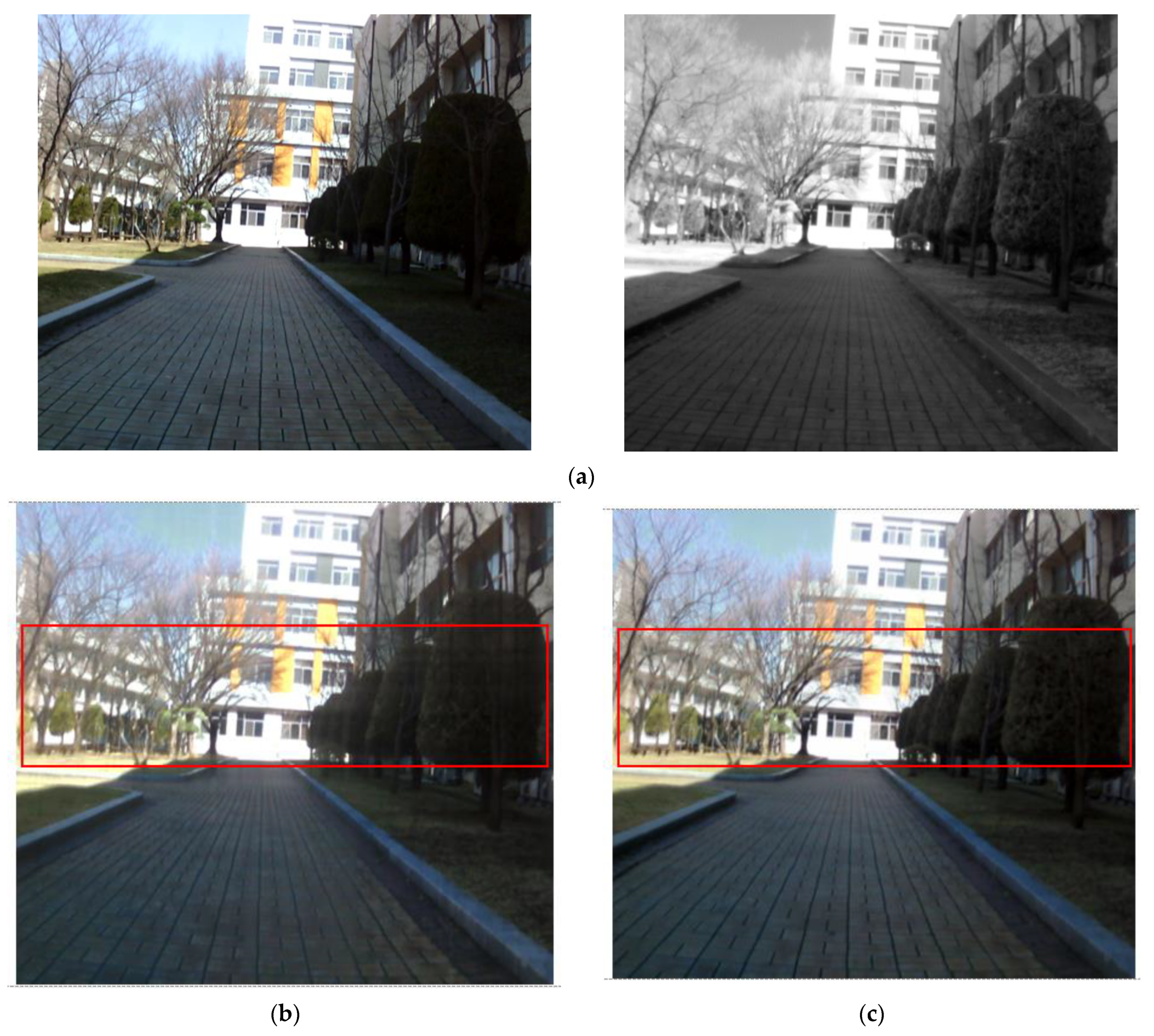 Entropy 24 01435 g016a