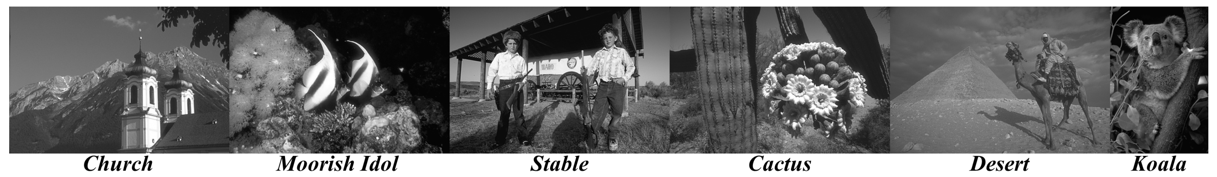 Entropy 24 01518 g007