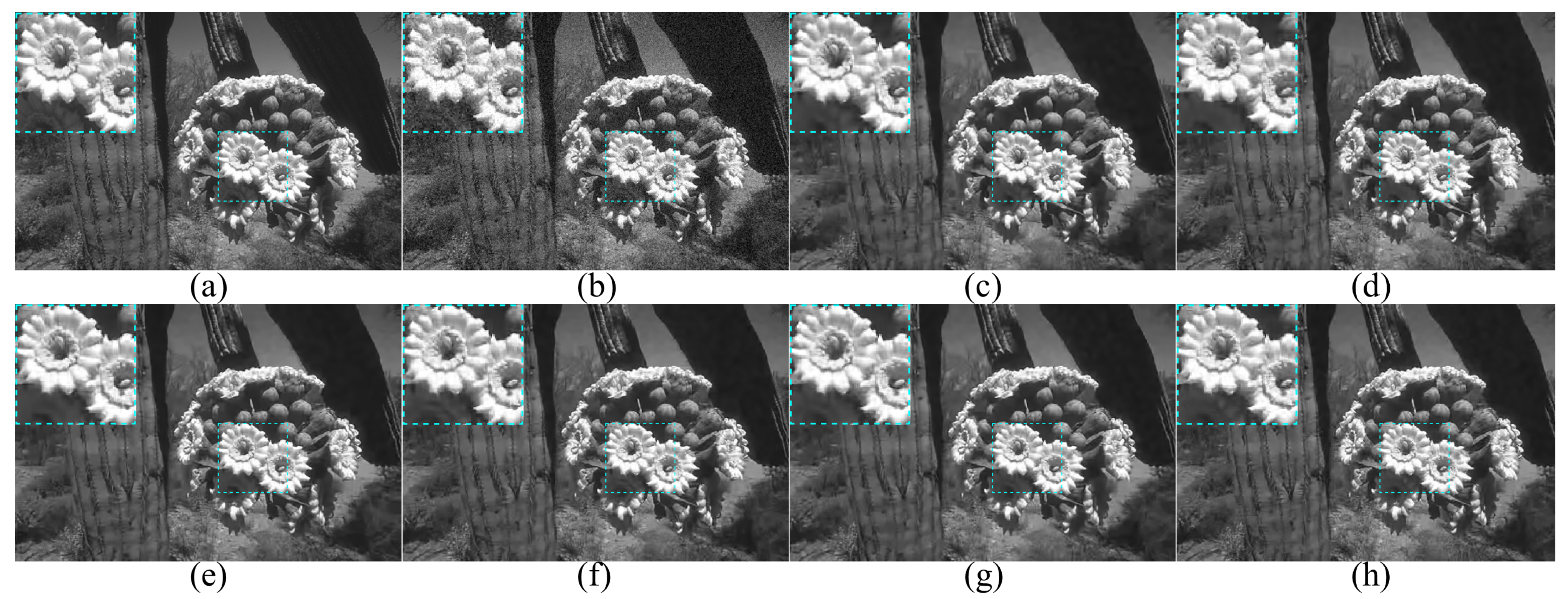 Entropy 24 01518 g009