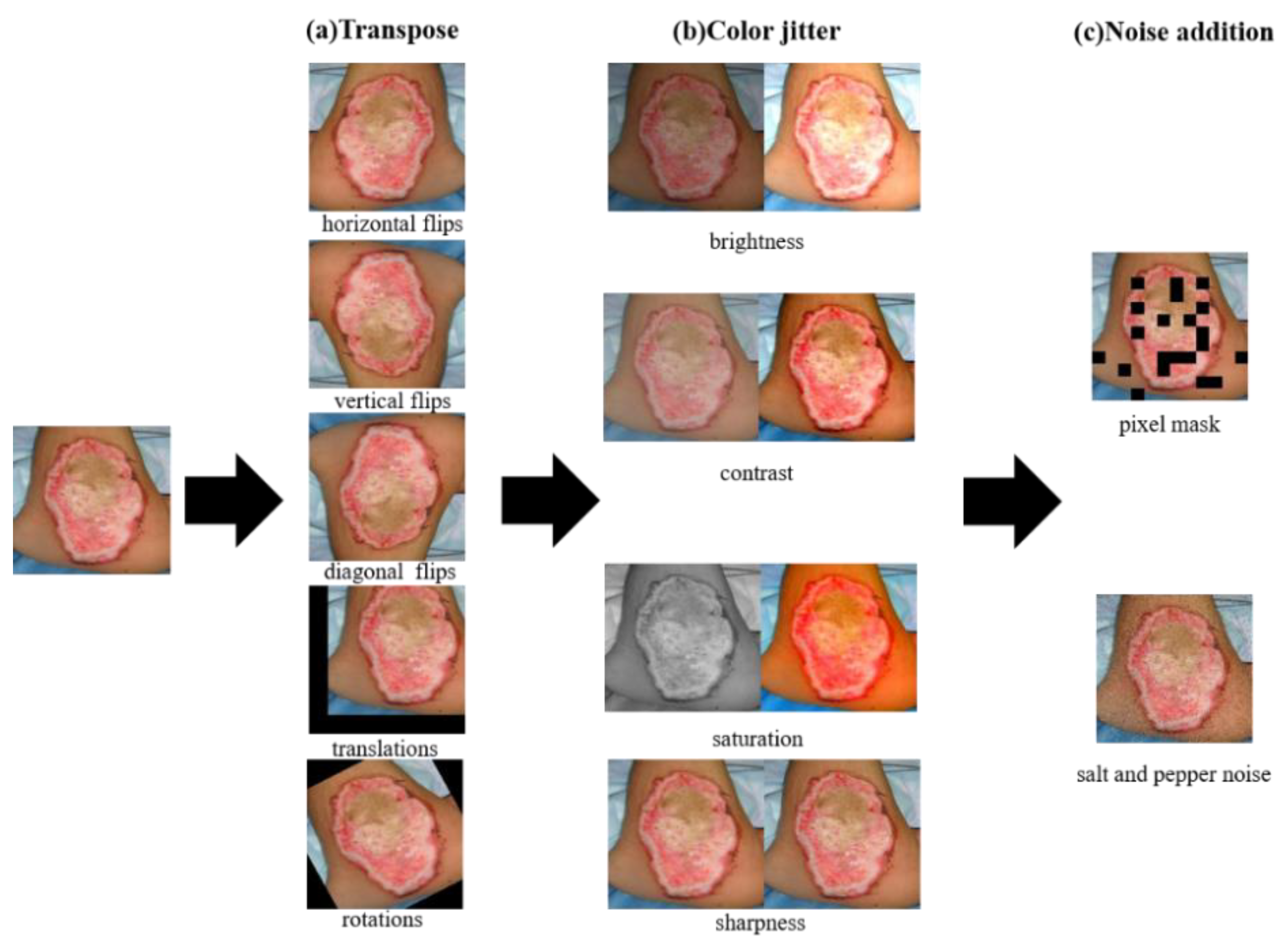 Entropy 24 01526 g005