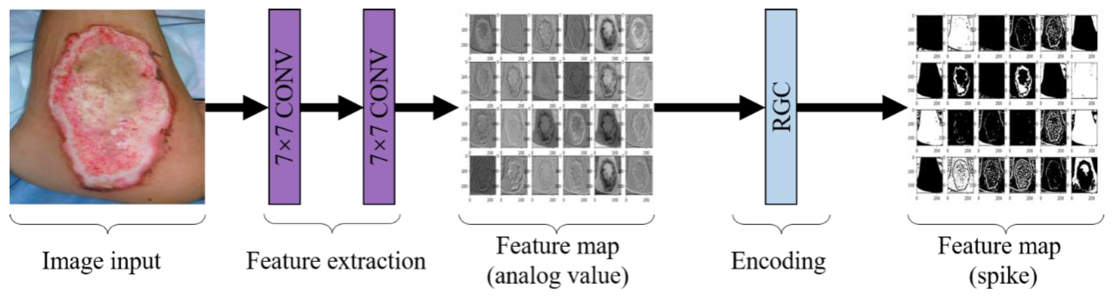 Entropy 24 01526 g007