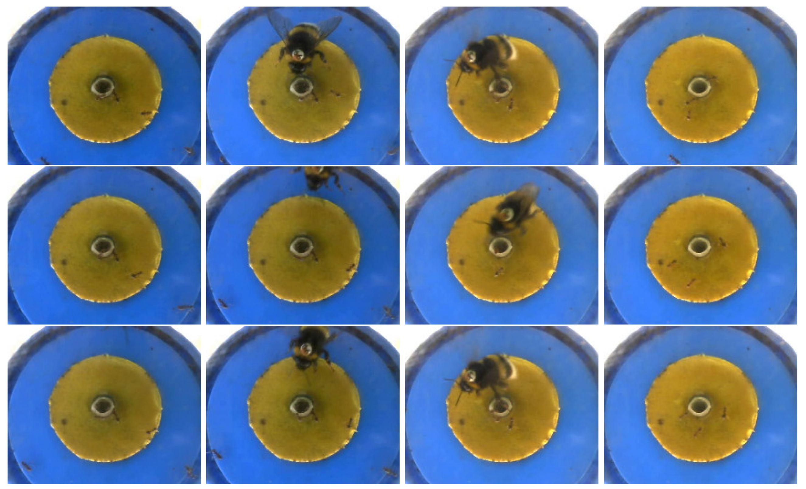 Entropy 24 01652 g003