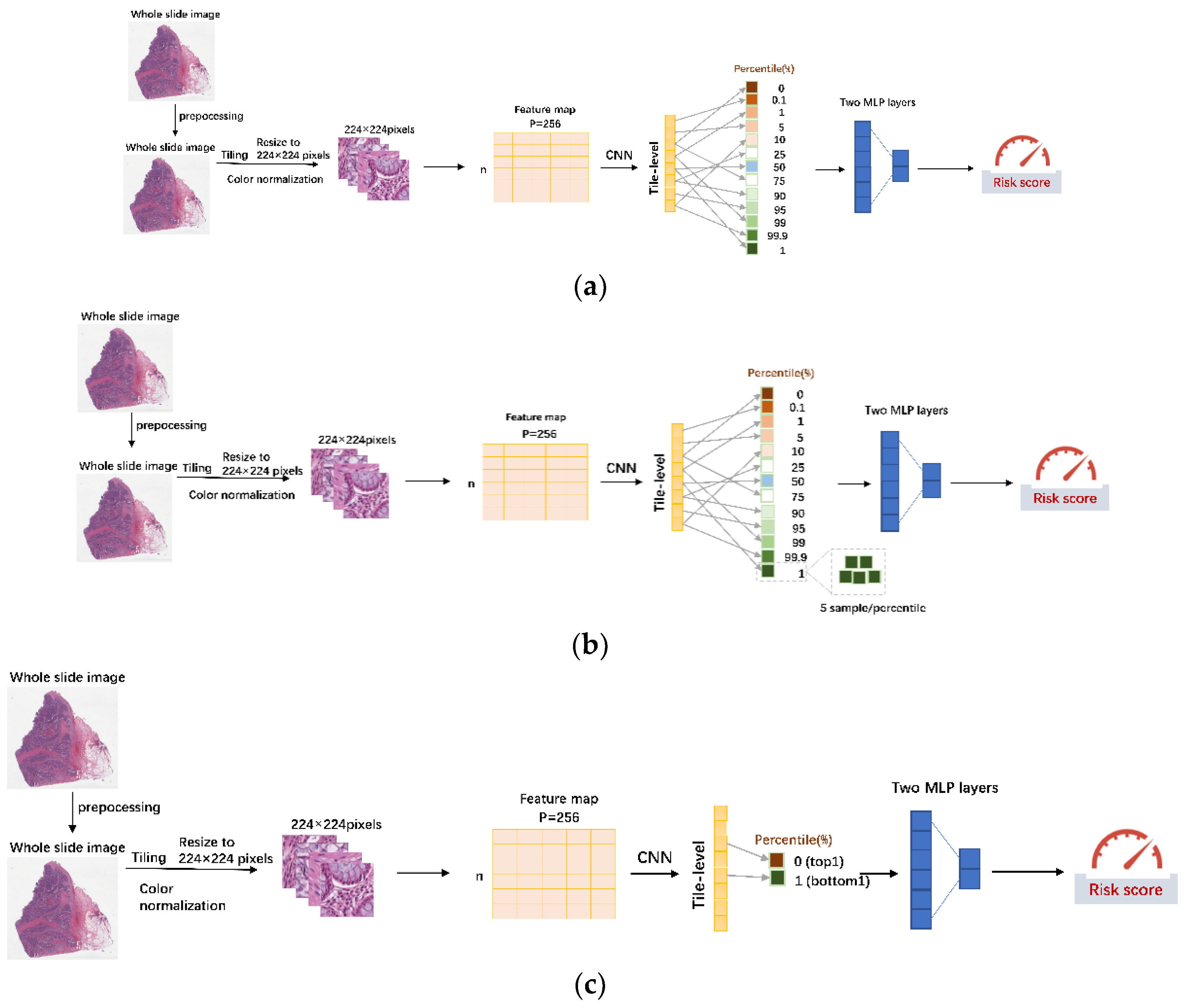 Entropy 24 01669 g001 Entropy 24 01669 g001