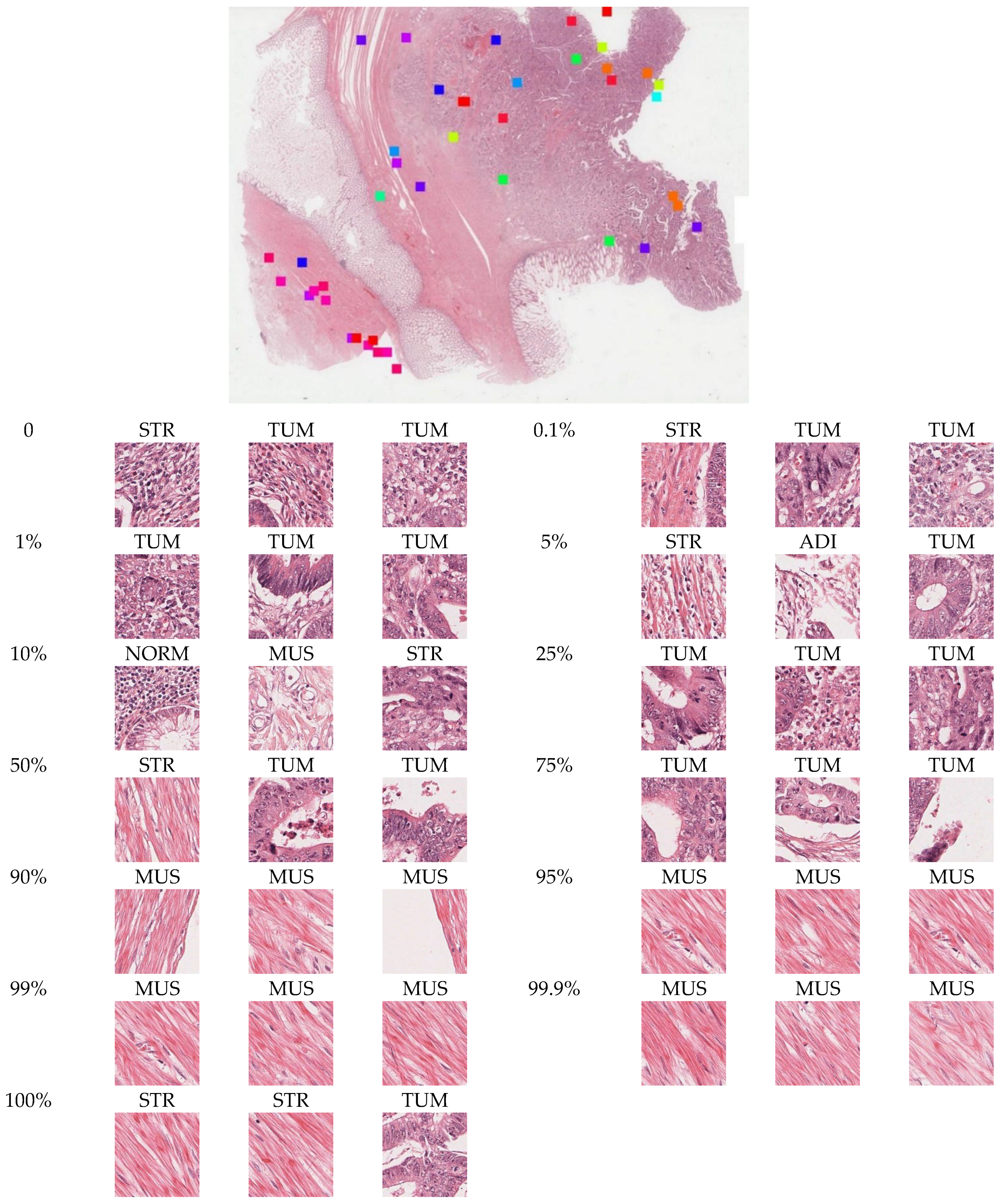 Entropy 24 01669 g007 Entropy 24 01669 g007