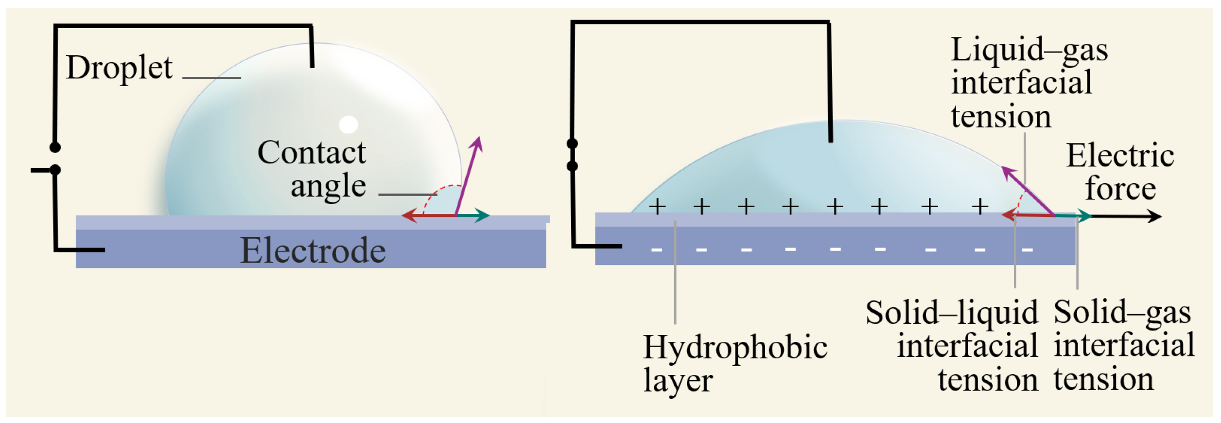Entropy 24 01714 g001