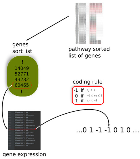 Entropy 24 01744 g0a1