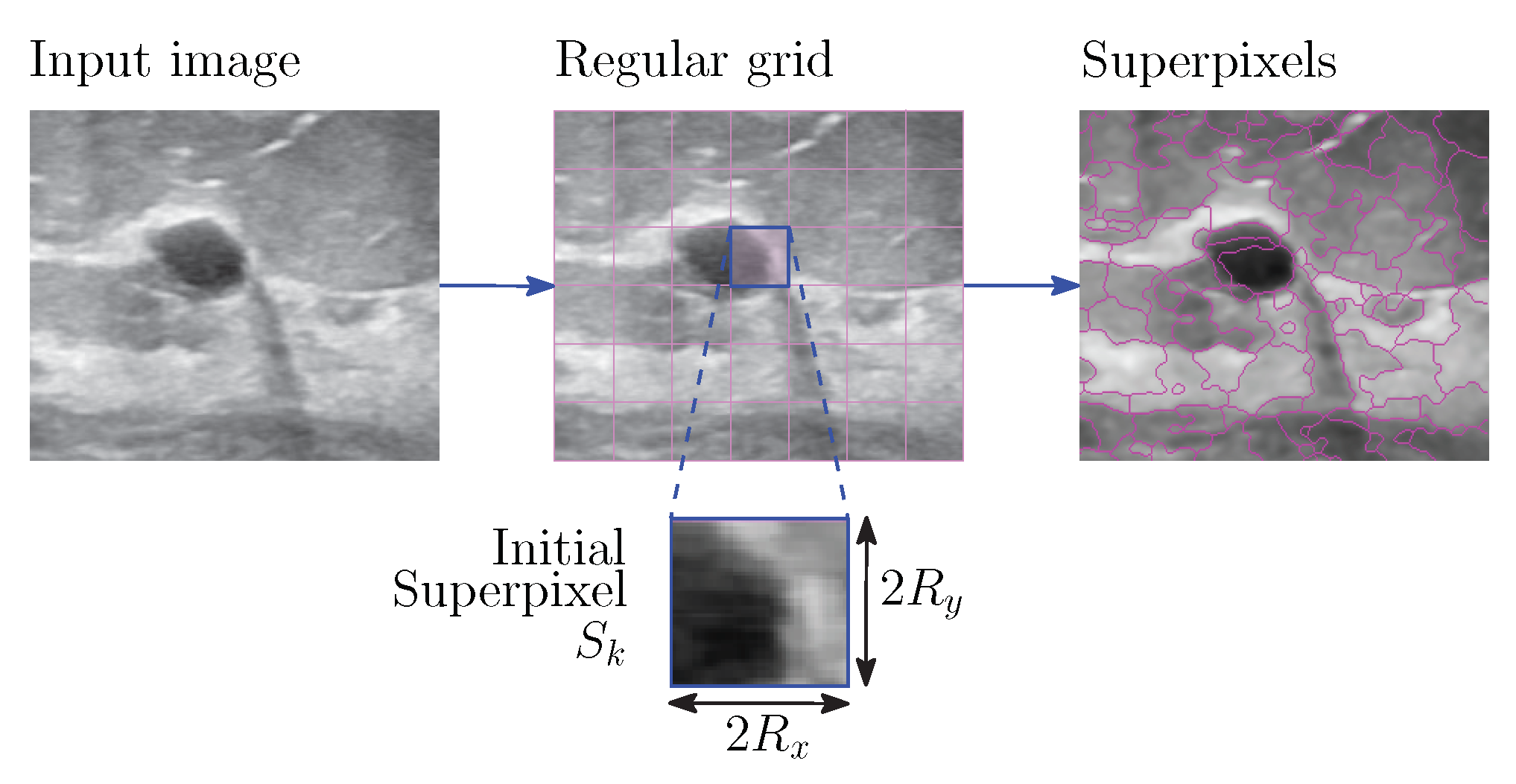Entropy 24 01775 g001
