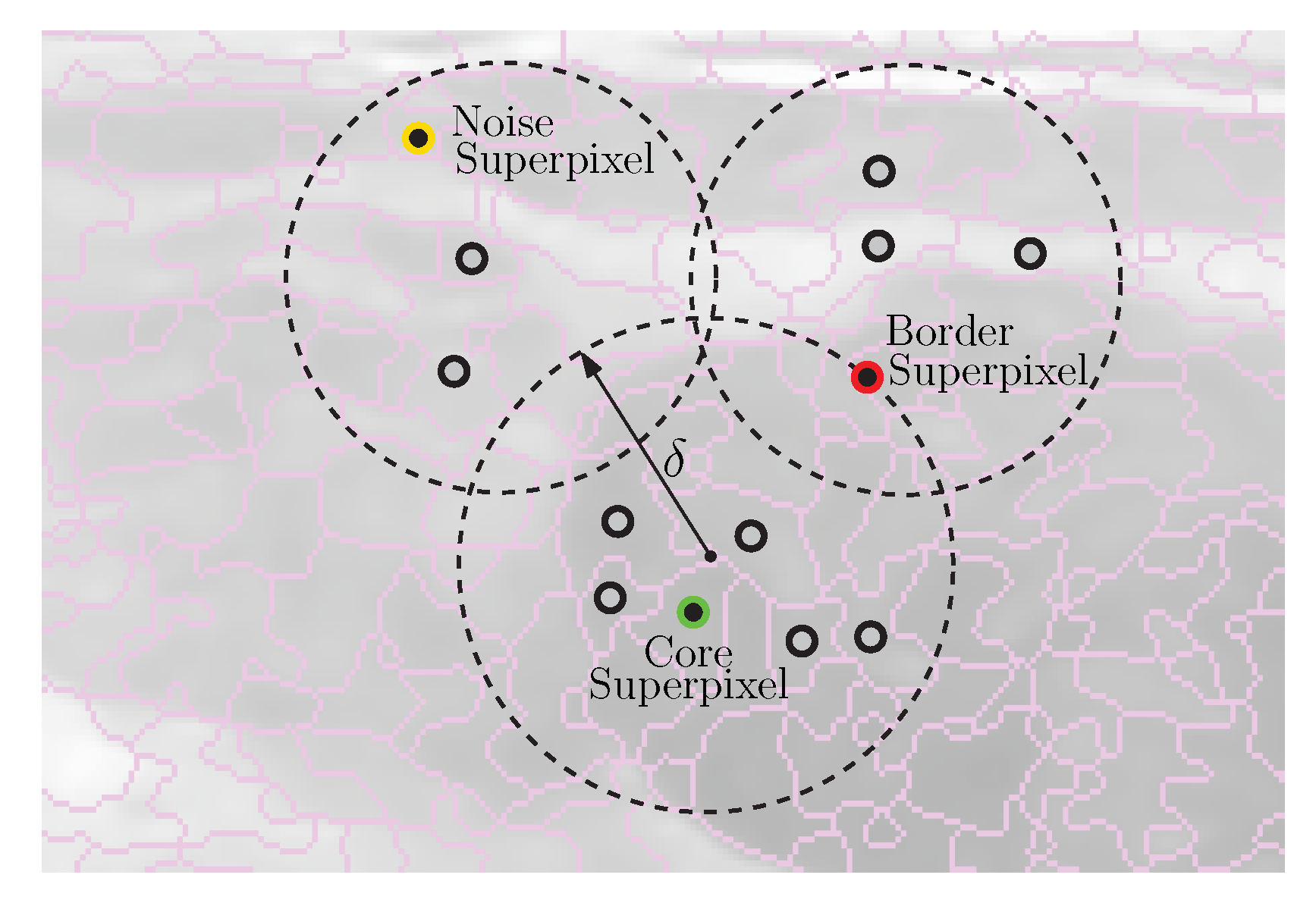 Entropy 24 01775 g002