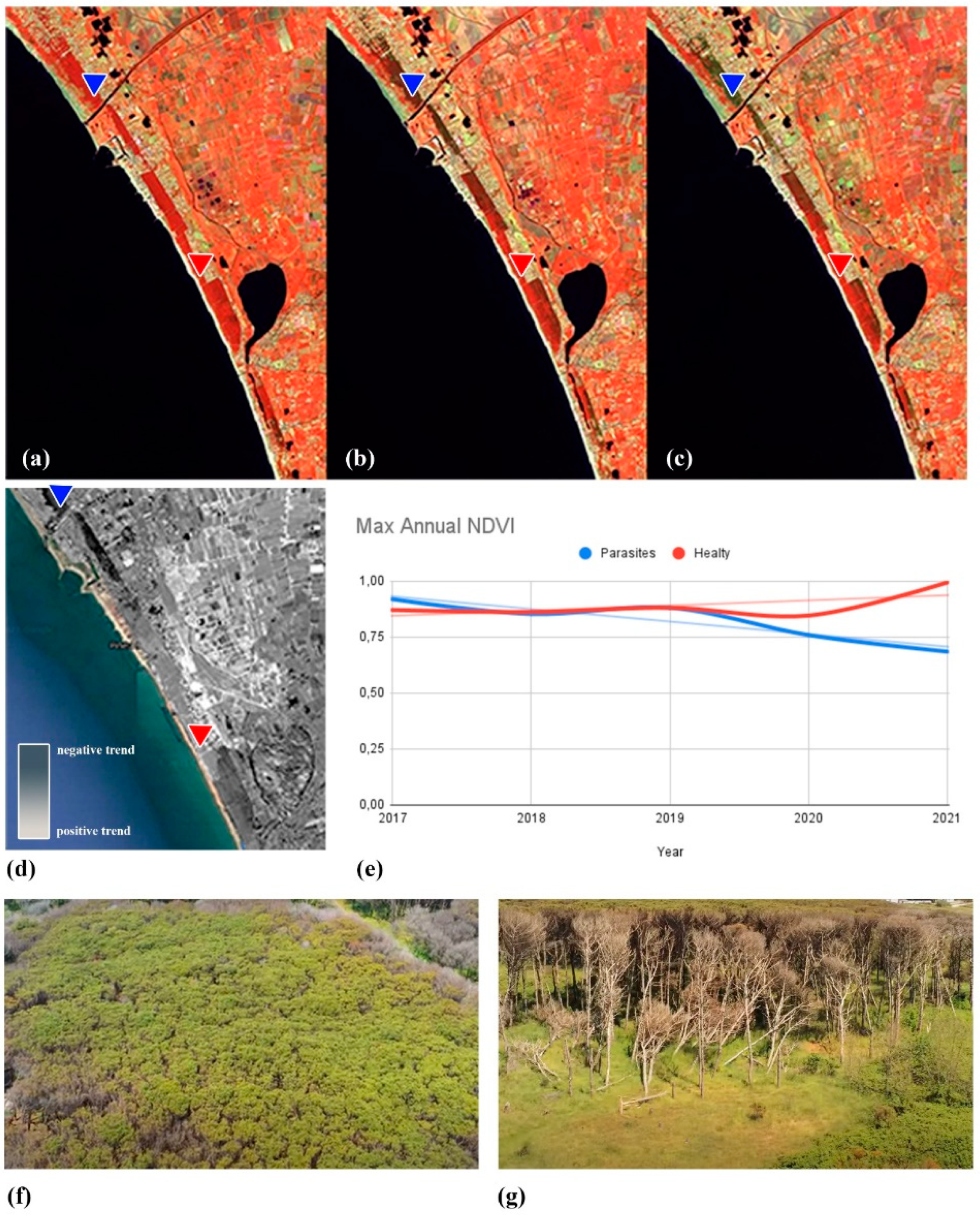 Entropy 24 01784 g009