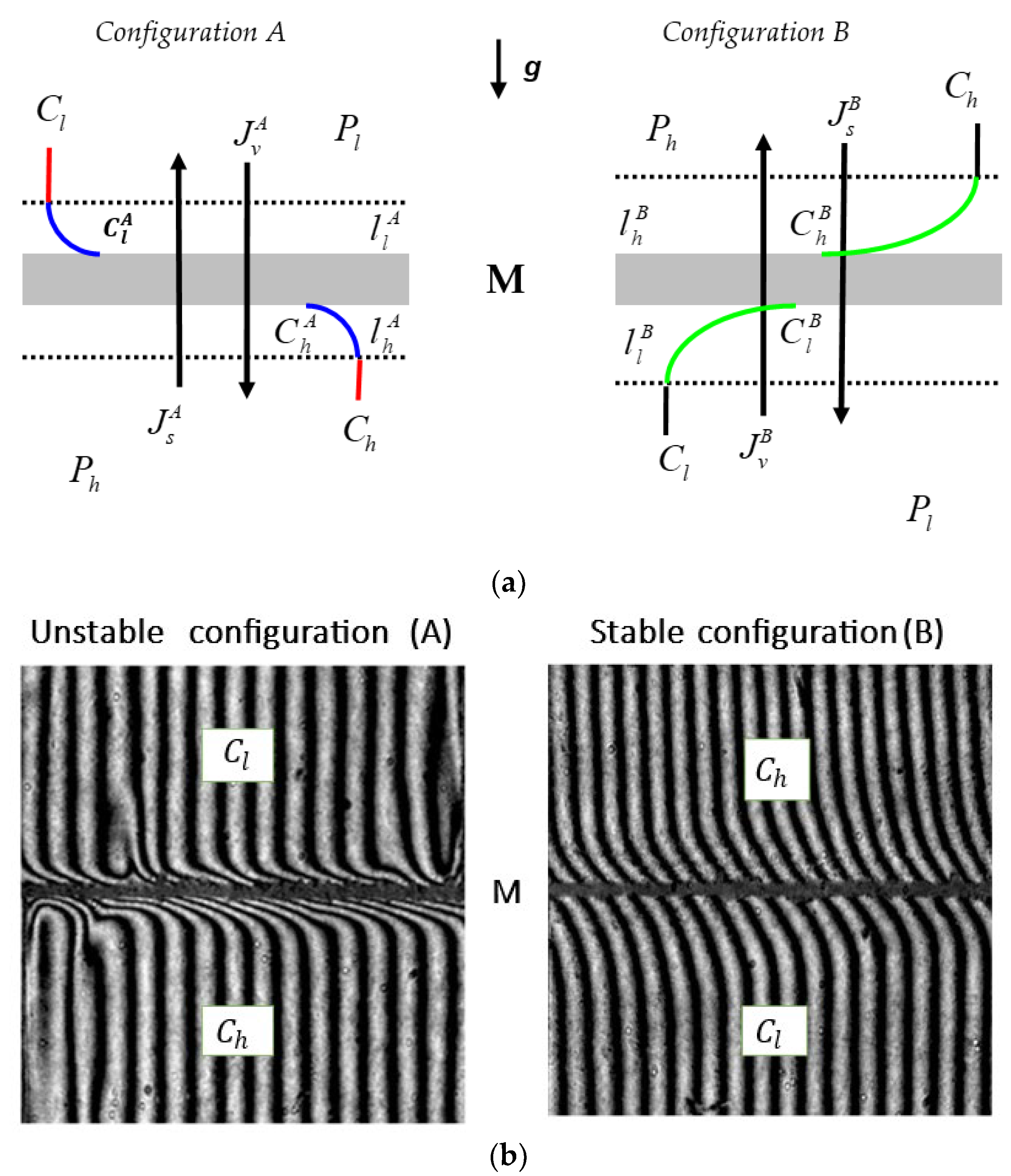 Entropy 25 00003 g001