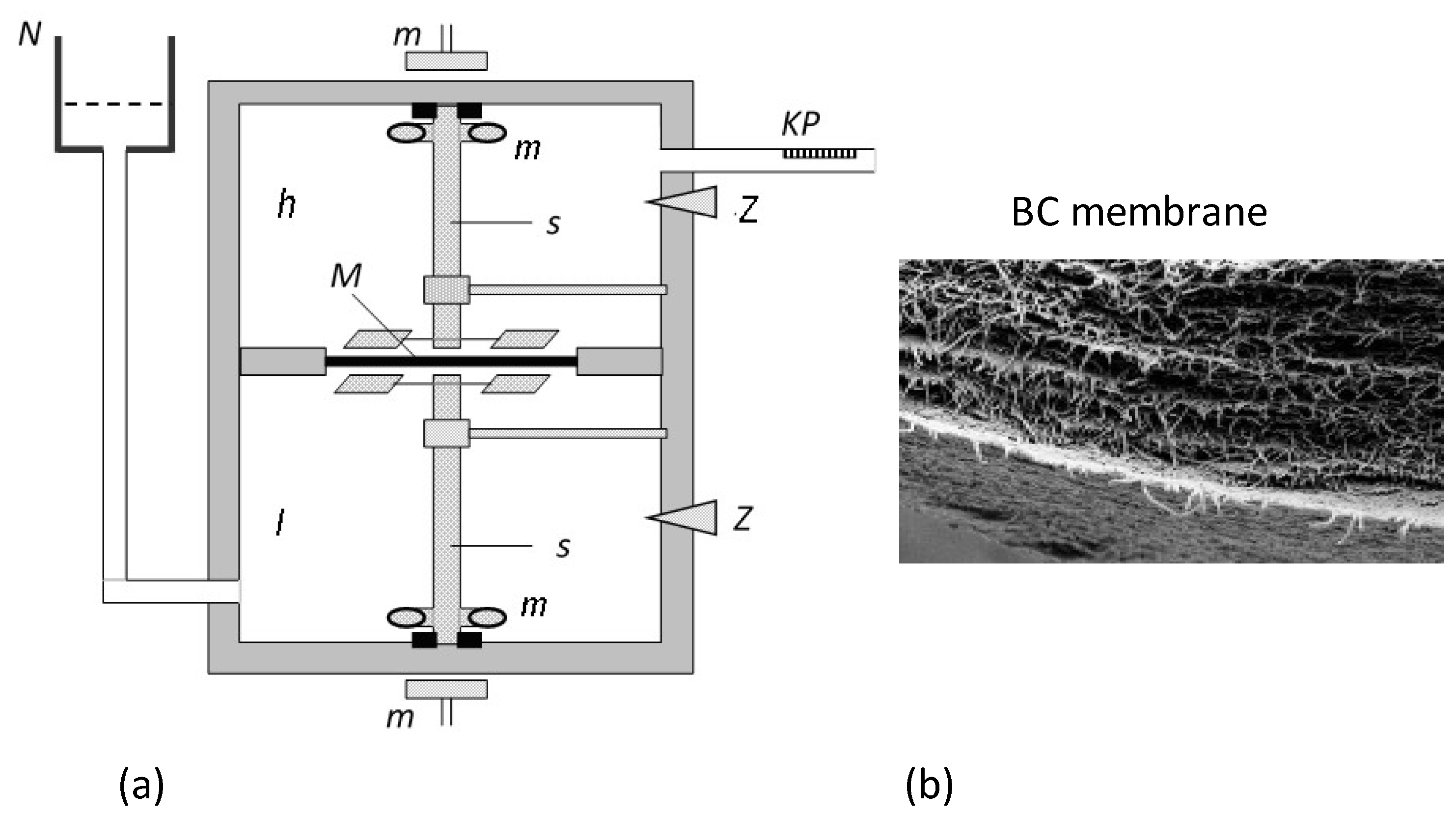 Entropy 25 00003 g002