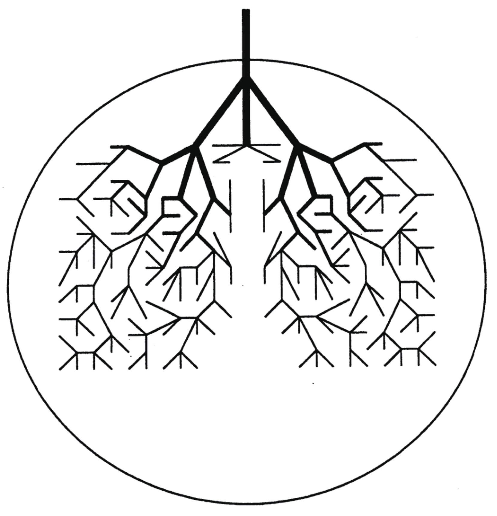 Entropy 25 00063 g003 Entropy 25 00063 g003