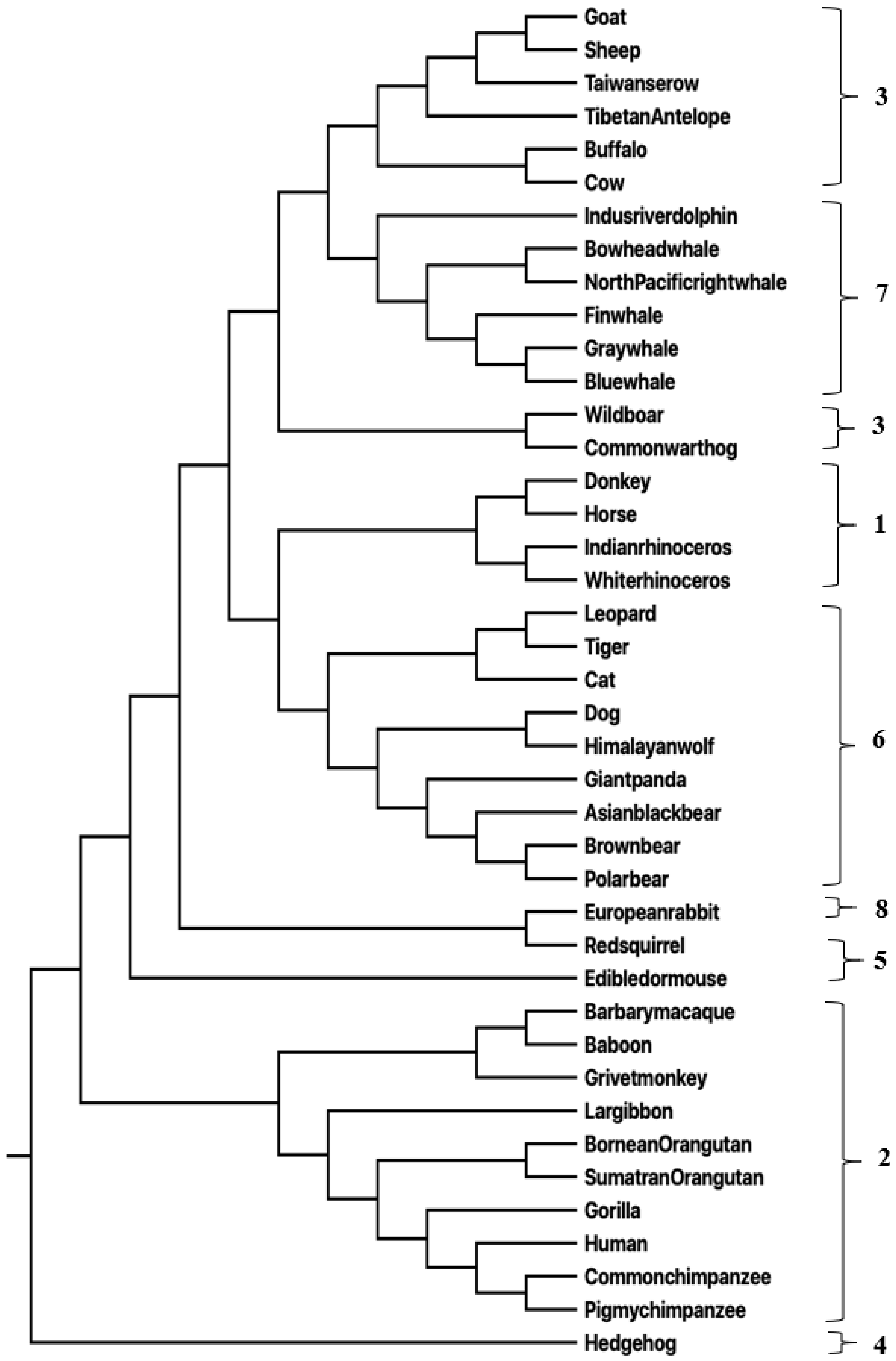Entropy 25 00081 g001 Entropy 25 00081 g001