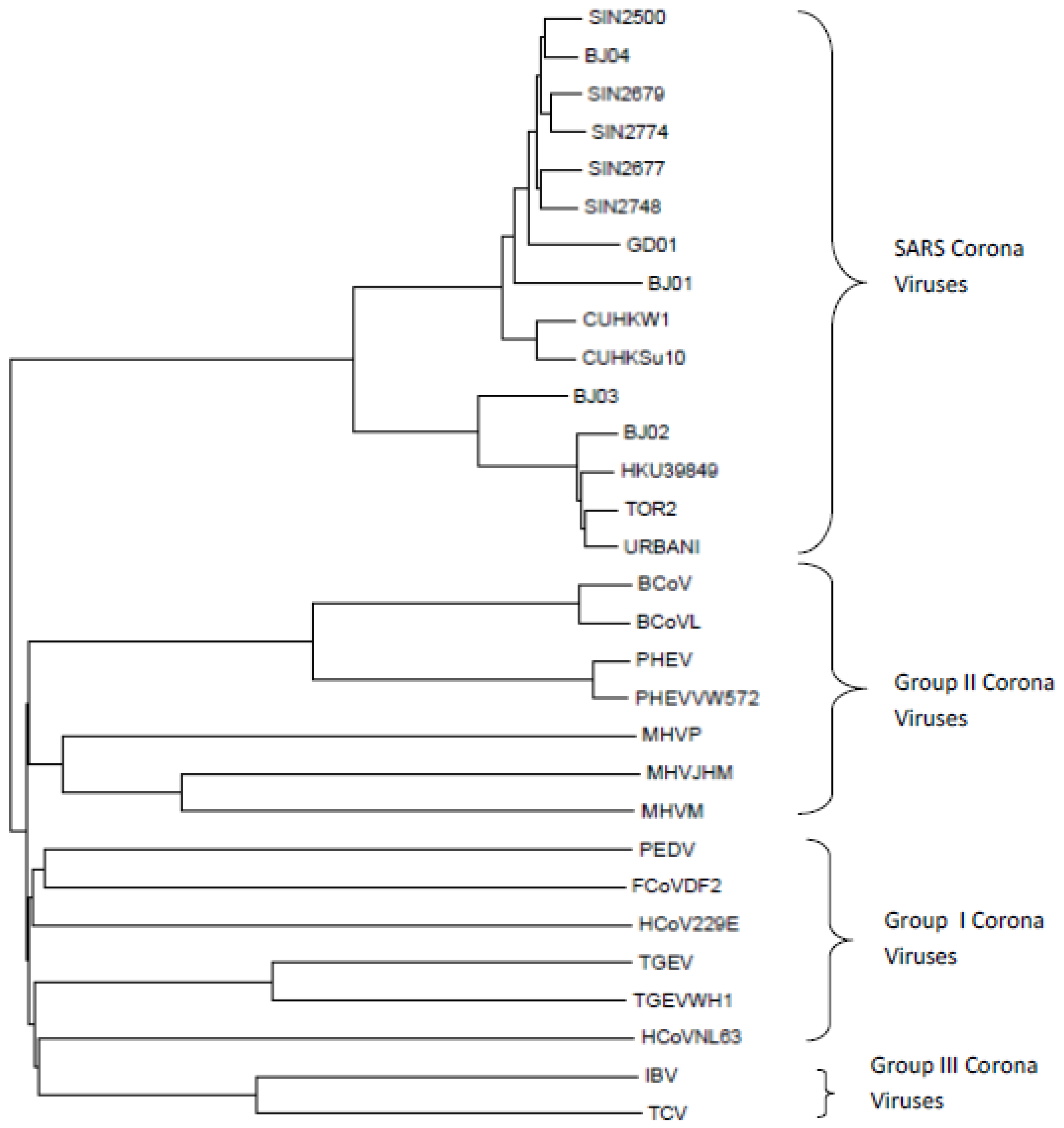 Entropy 25 00081 g002 Entropy 25 00081 g002