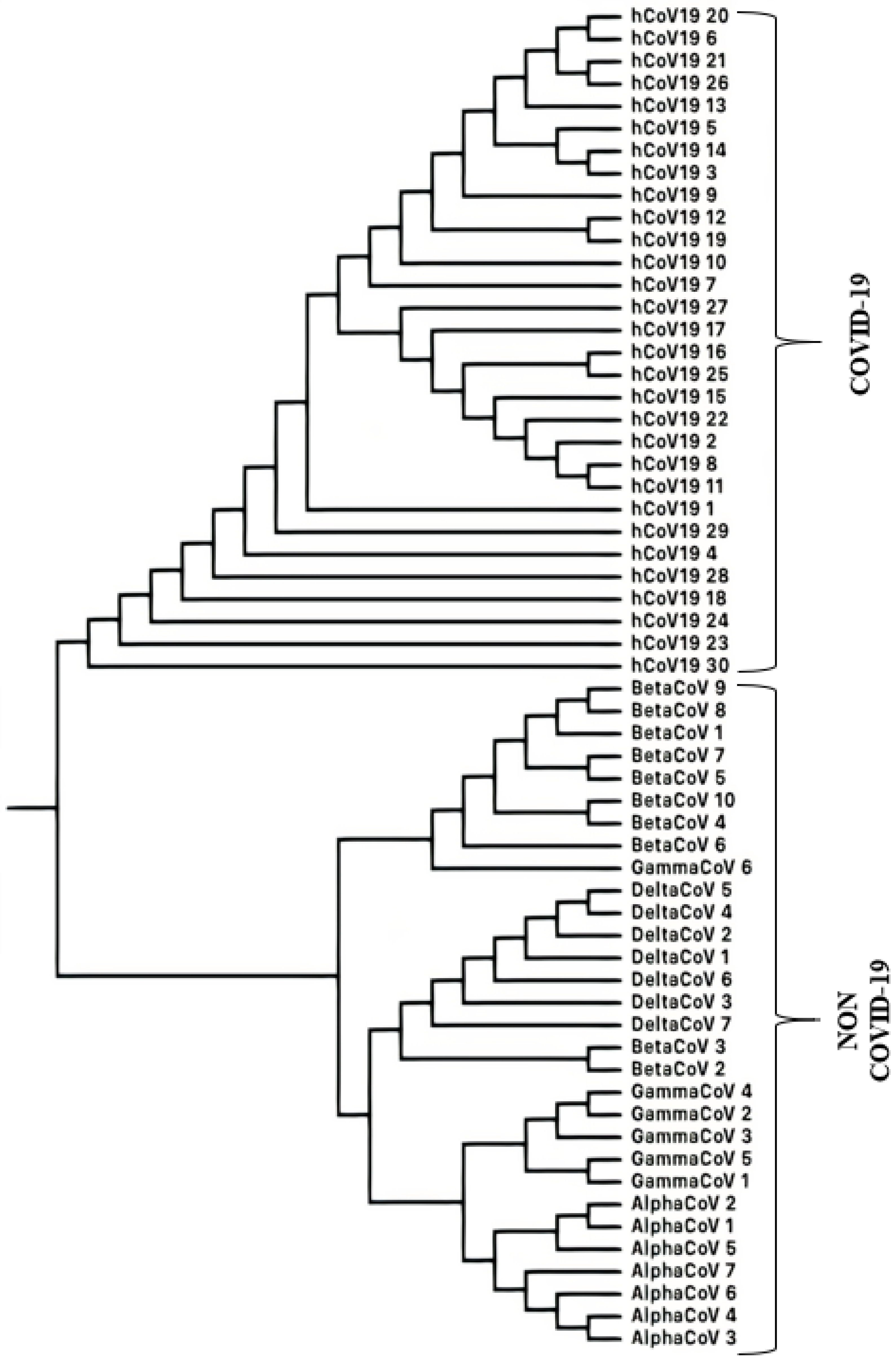 Entropy 25 00081 g003 Entropy 25 00081 g003