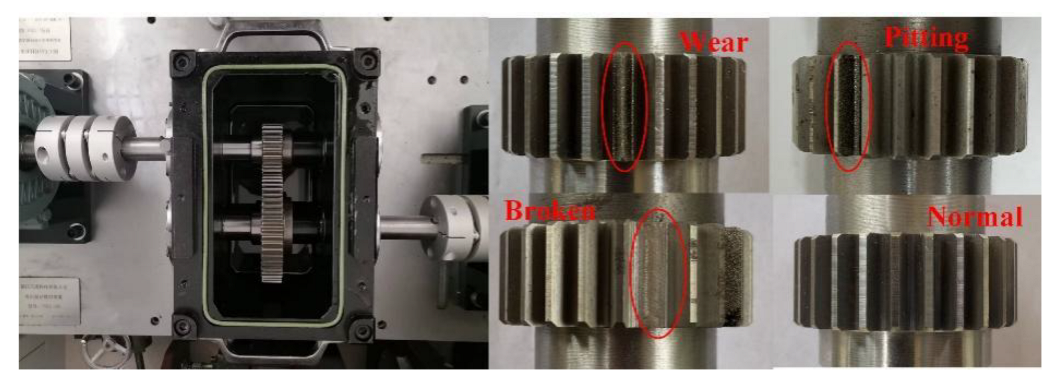 Entropy 25 00083 g005