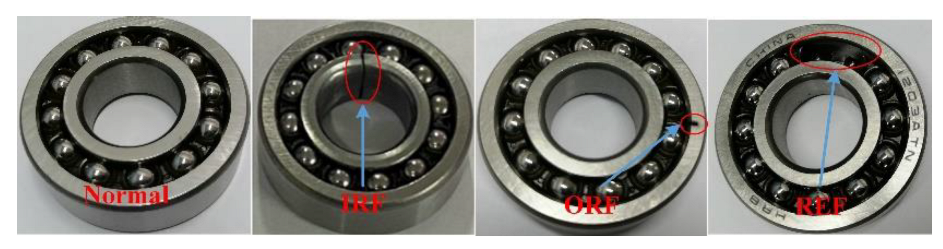 Entropy 25 00083 g006